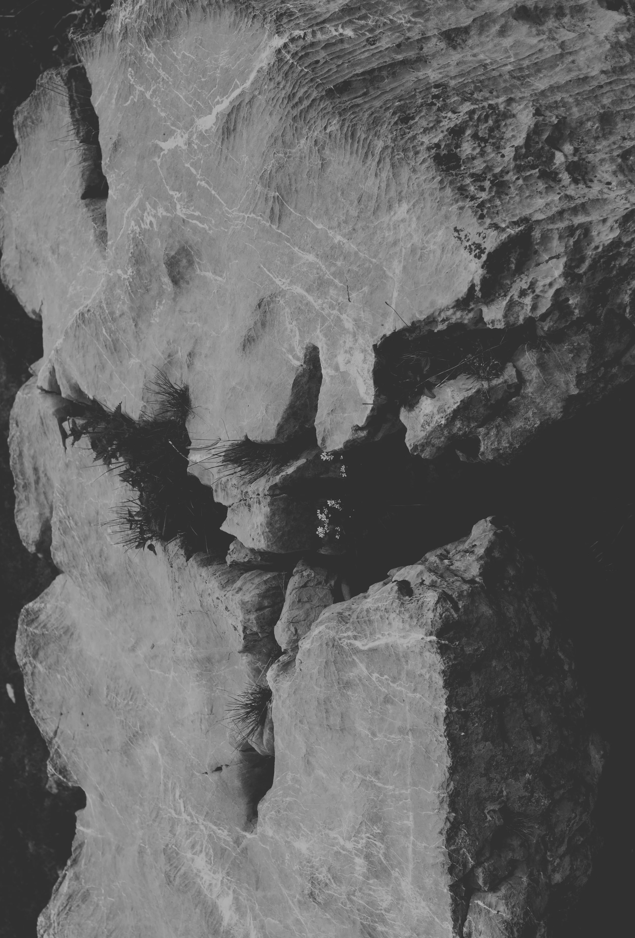 Roche_rock_texture.jpg