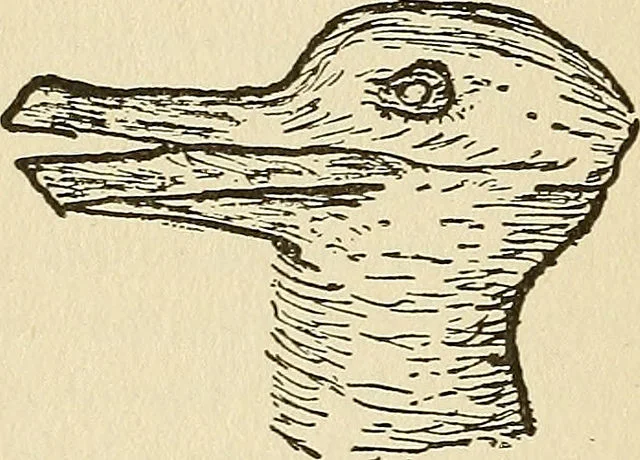 rabbit duck.jpg