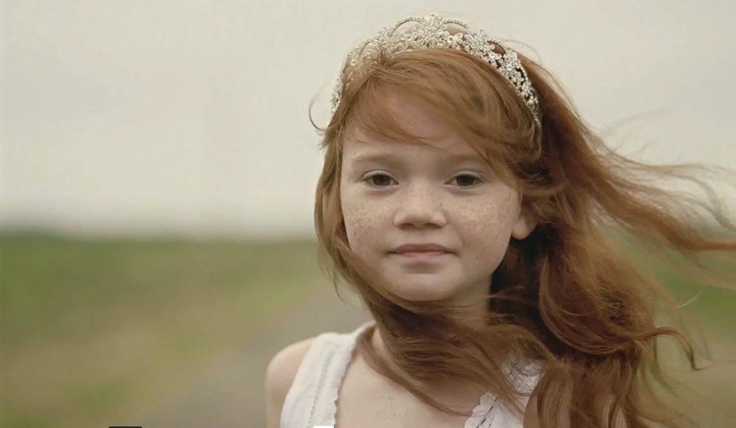 American Family Insurance