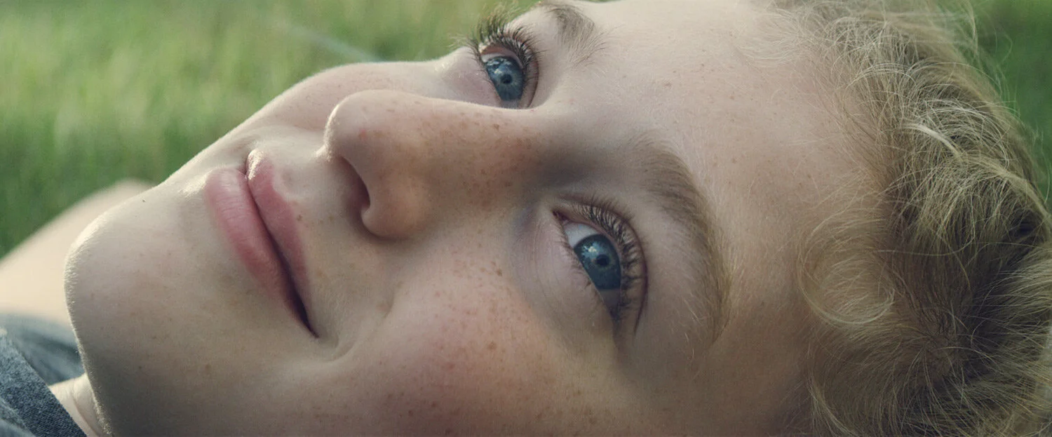 The Day Ray Impaled Himself on the Fence