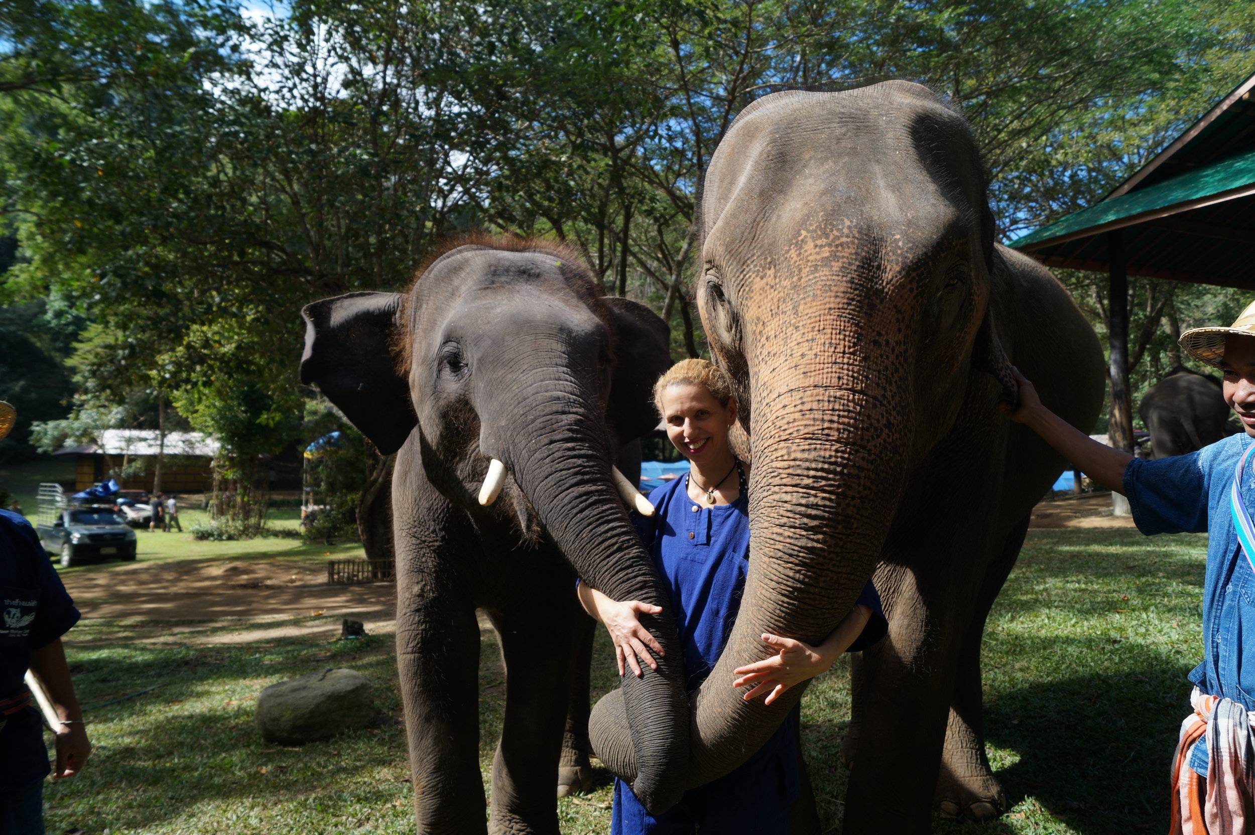 I really bonded with the two elephants we spent the day with. 