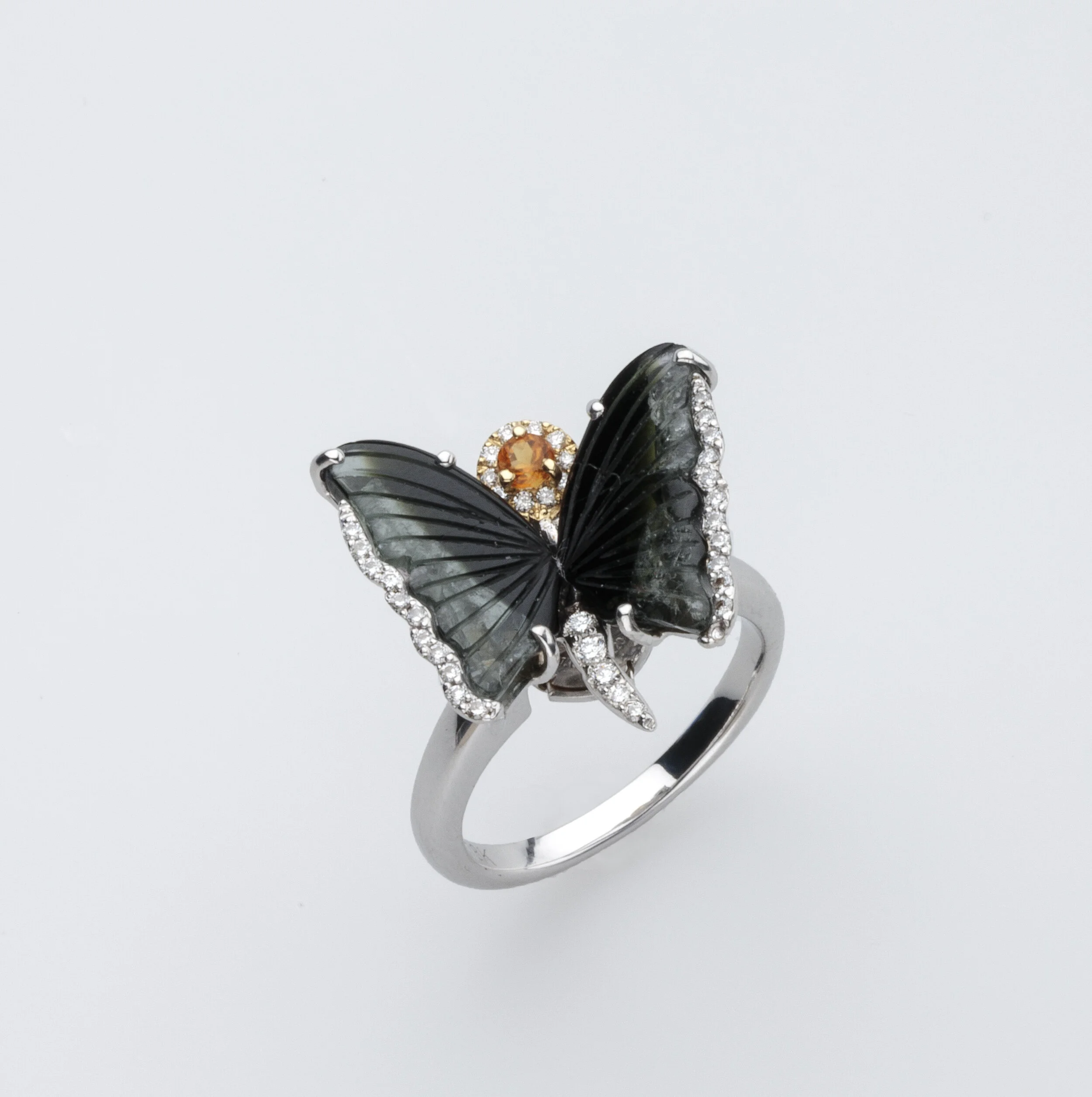 Ring 1