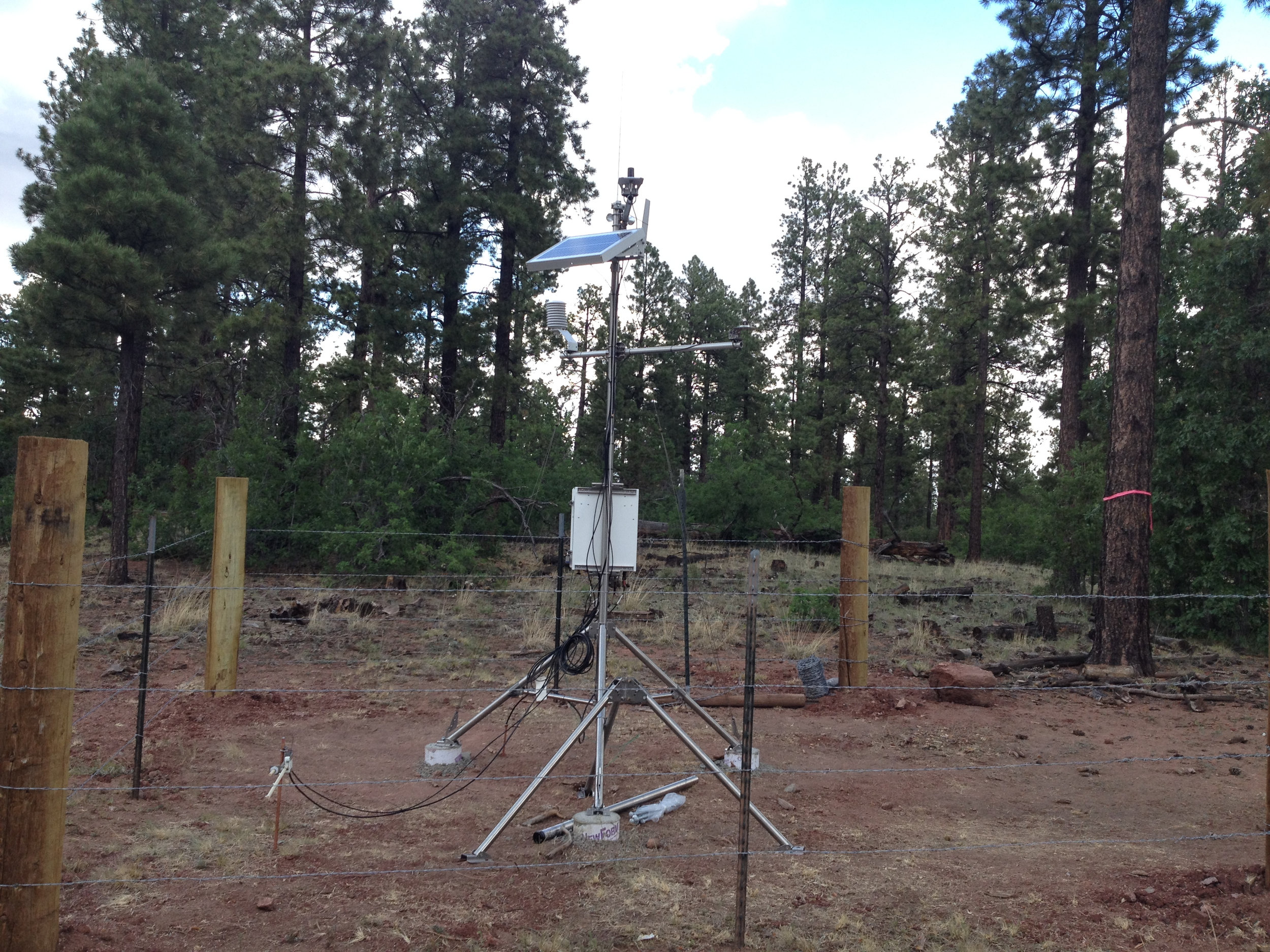 Weather station, Zuni Mountains