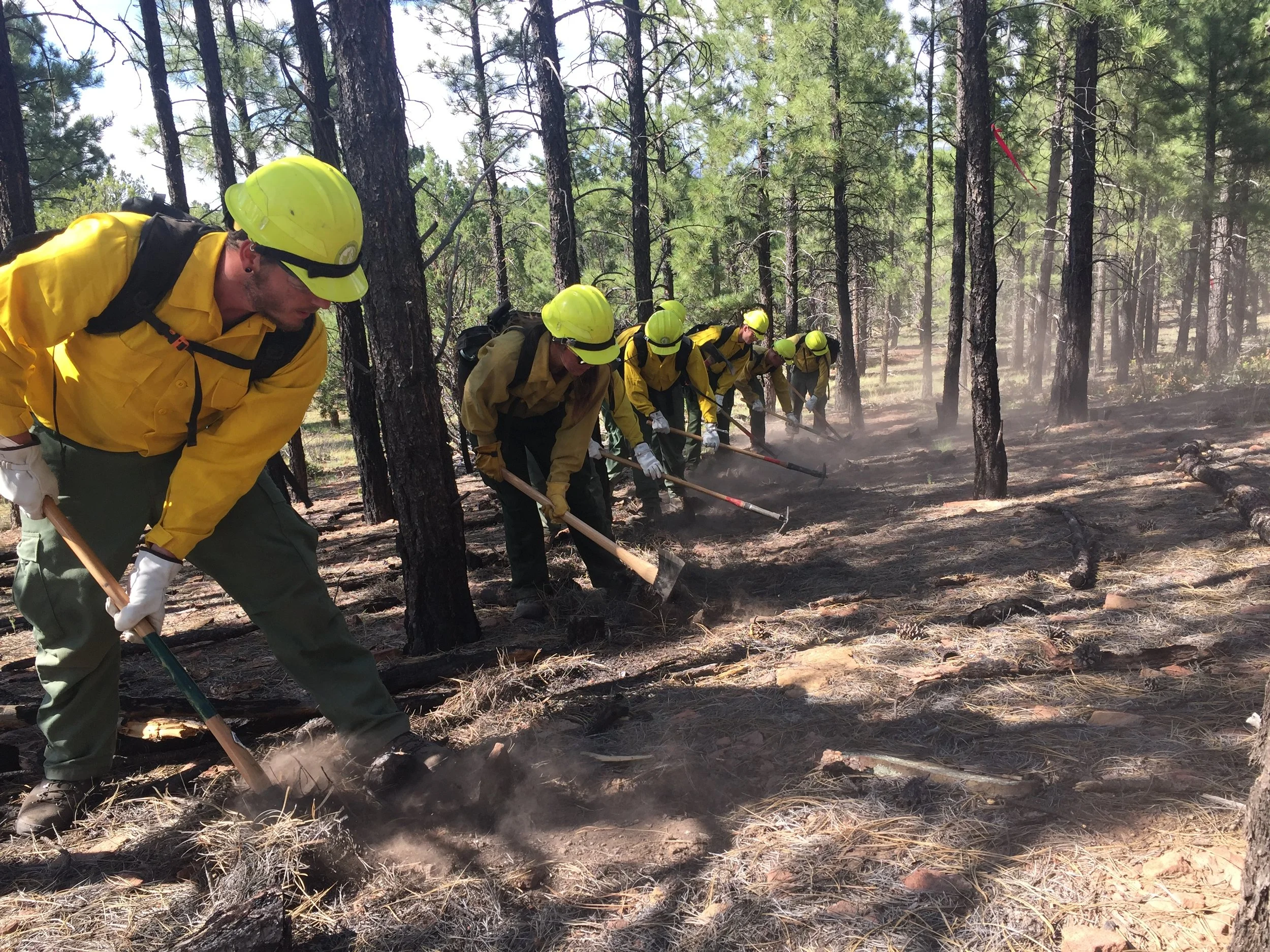 Preparing for Prescribed Fire at Cottonwood Gulch Basecamp