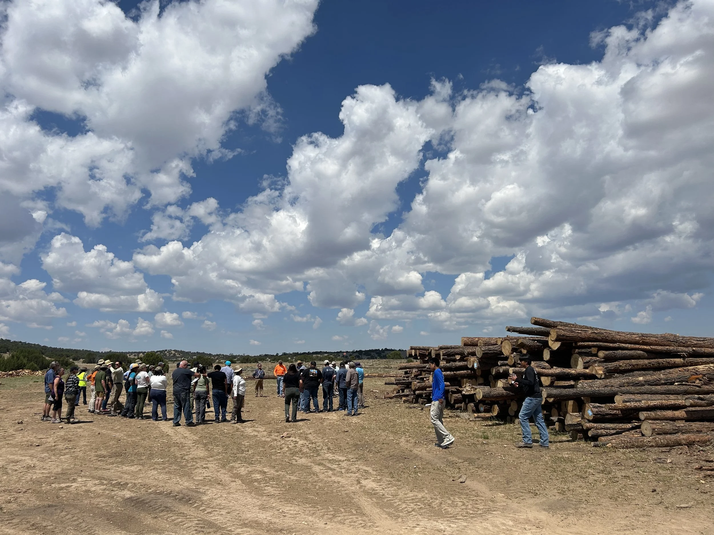 Attendees gather next to a deck of logs ready for processing; purchase and hauling of these logs was paid for through the Wood for Life program.