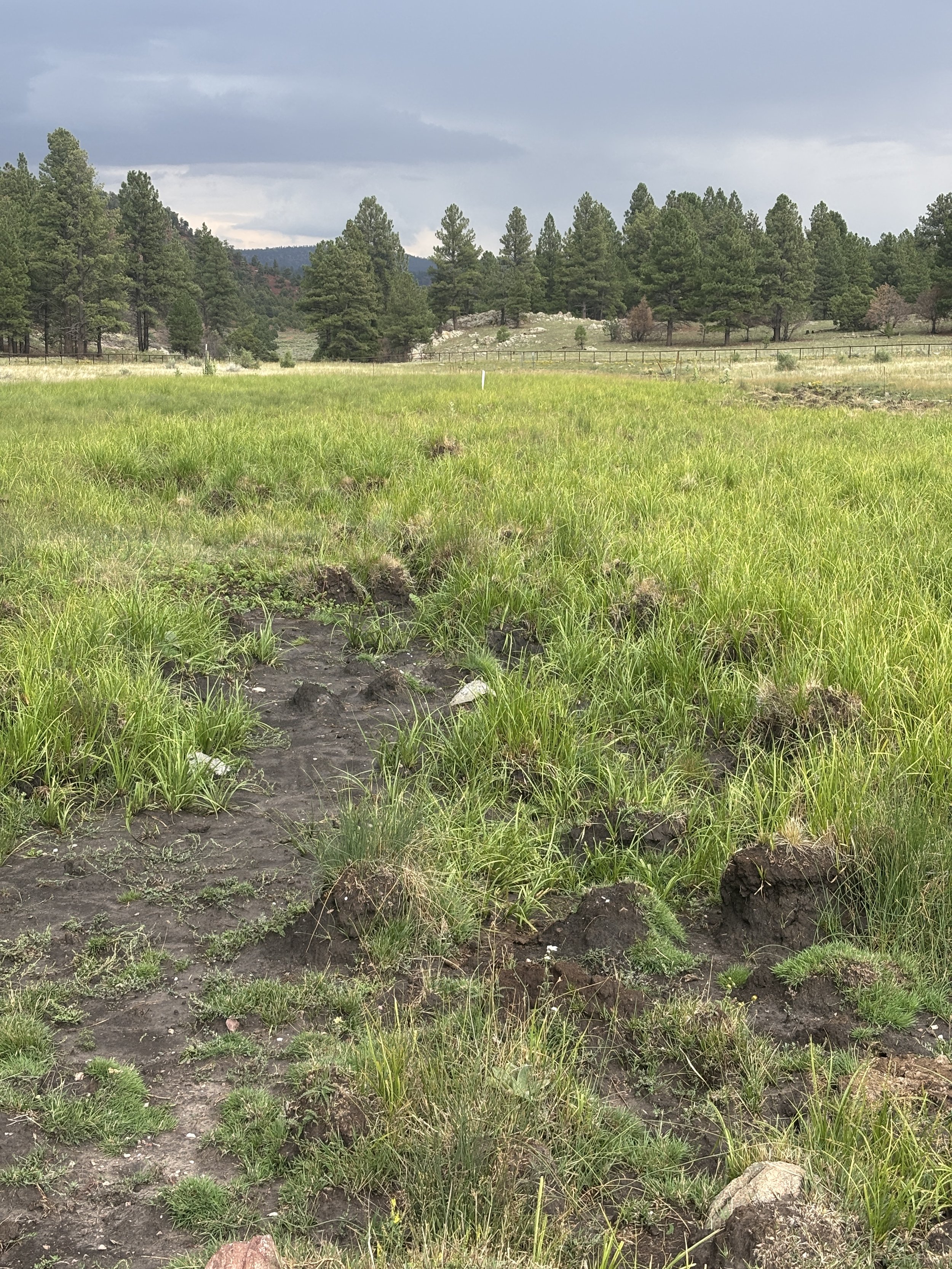 Bluewater Wetlands Action Plan - Final Public Meeting