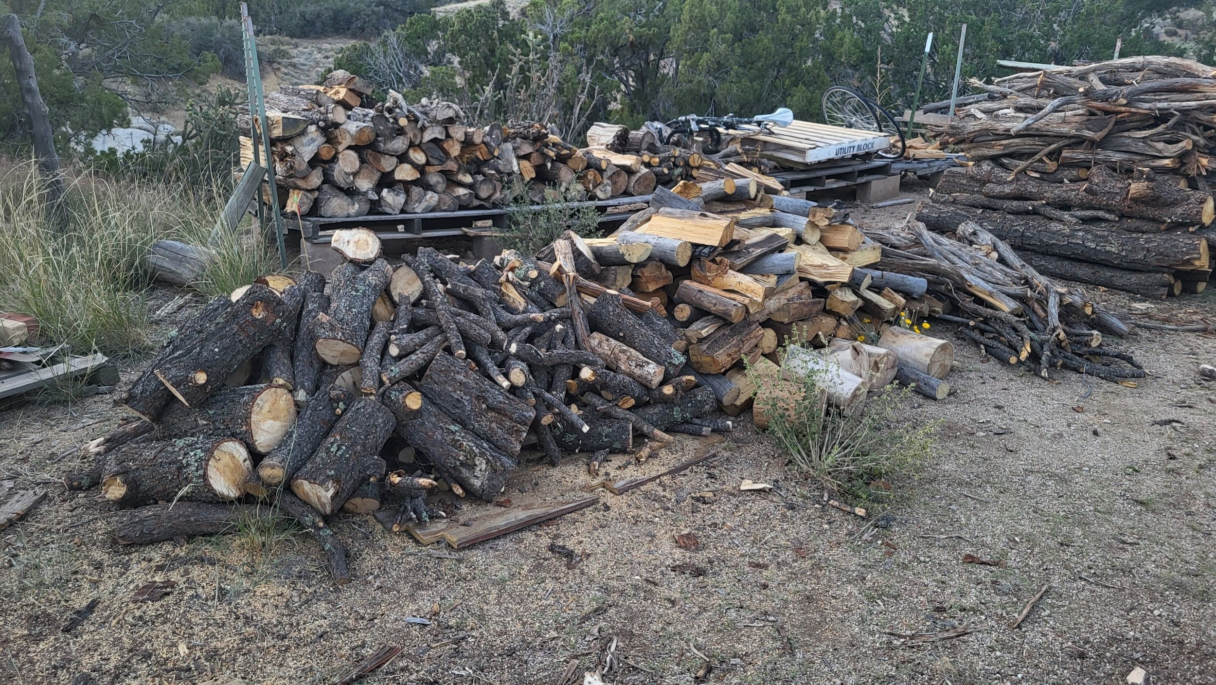 Working Together to Meet the Fuelwood Needs of Zuni Mountains Communities
