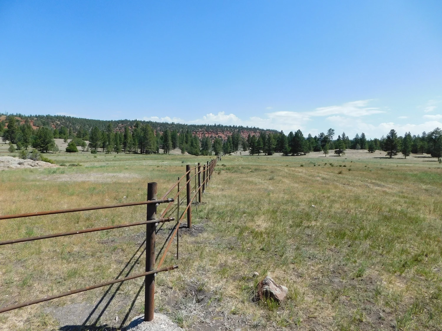 Riparian restoration in the heart of the Zuni Mountains — Zuni