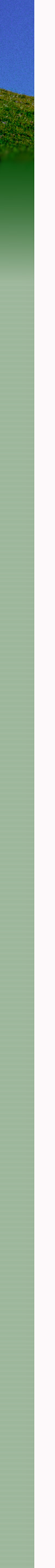 left-new-2.png
