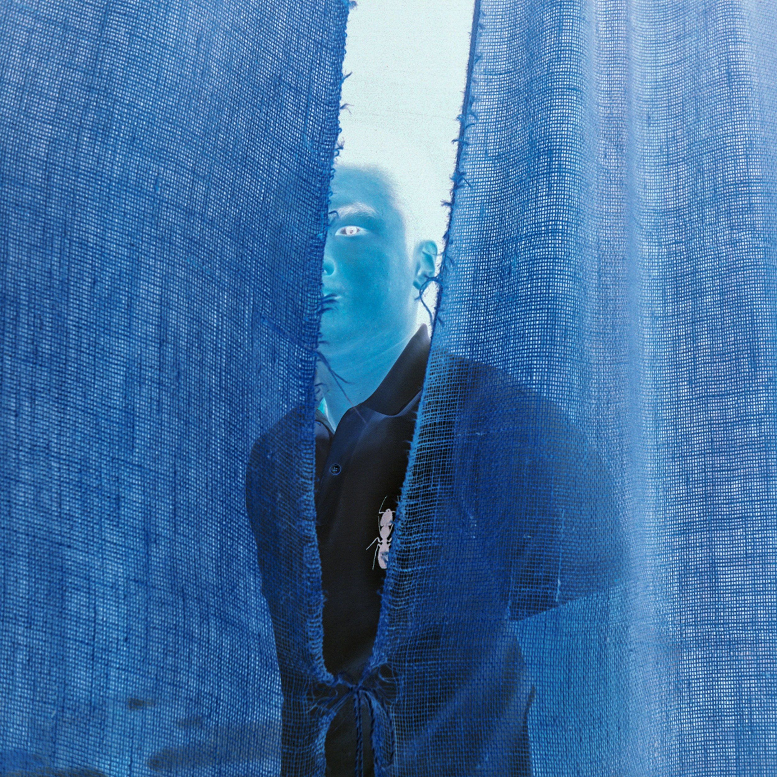 Junlin Zhu - Self Inverted 1.jpg