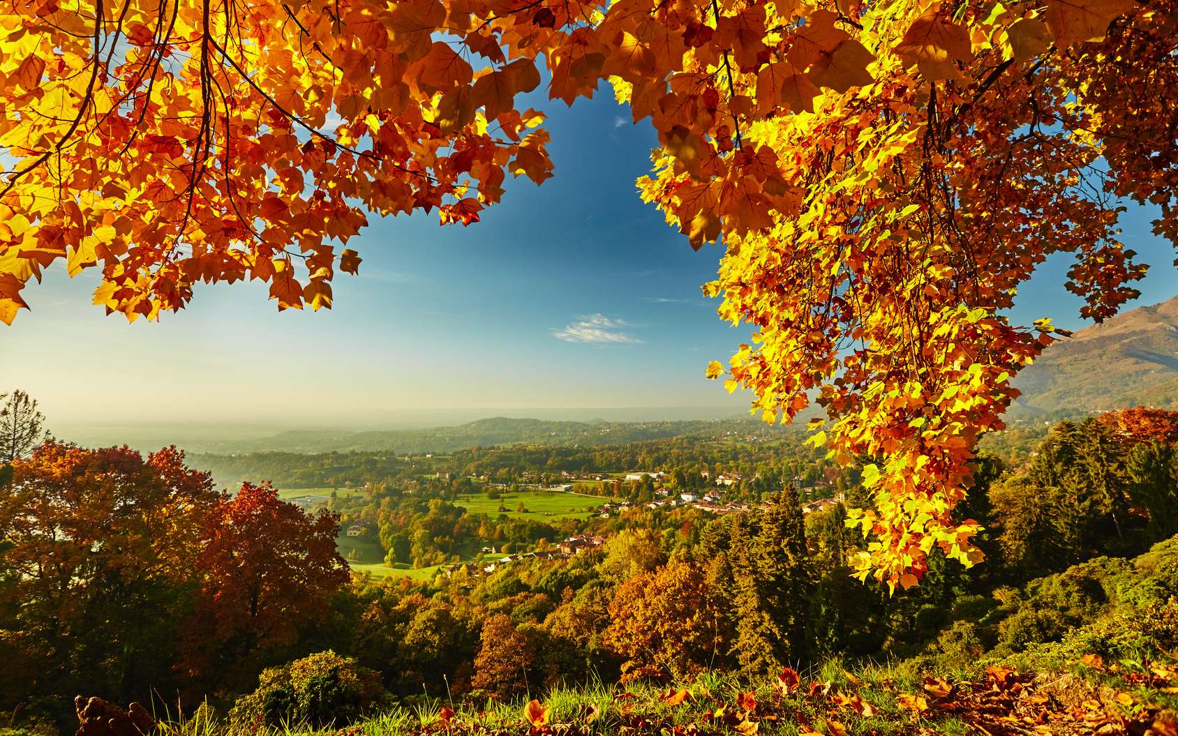 2282f07414_113803_automne-saison.jpg