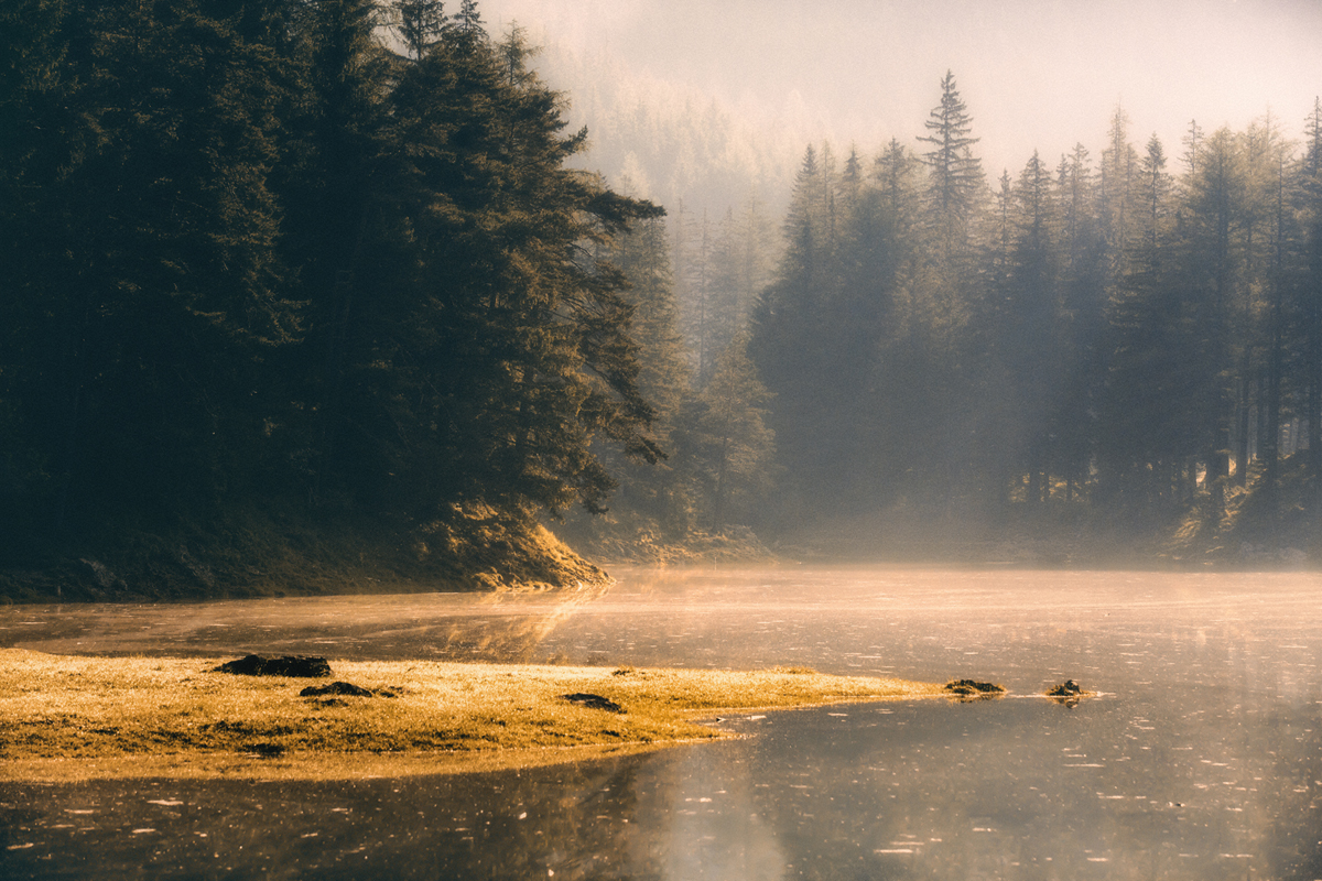Location: Grüner See, Austria