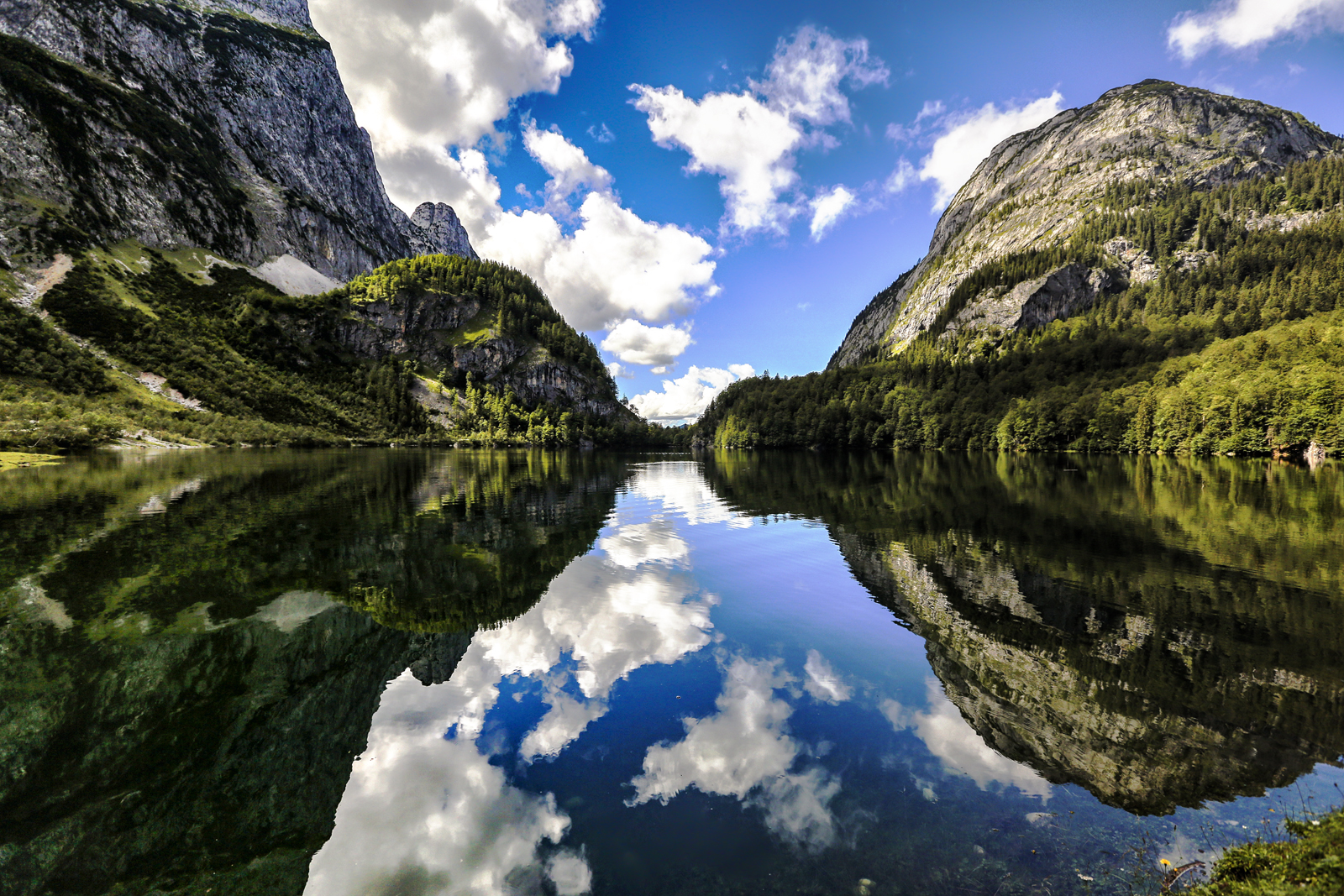 Reflections