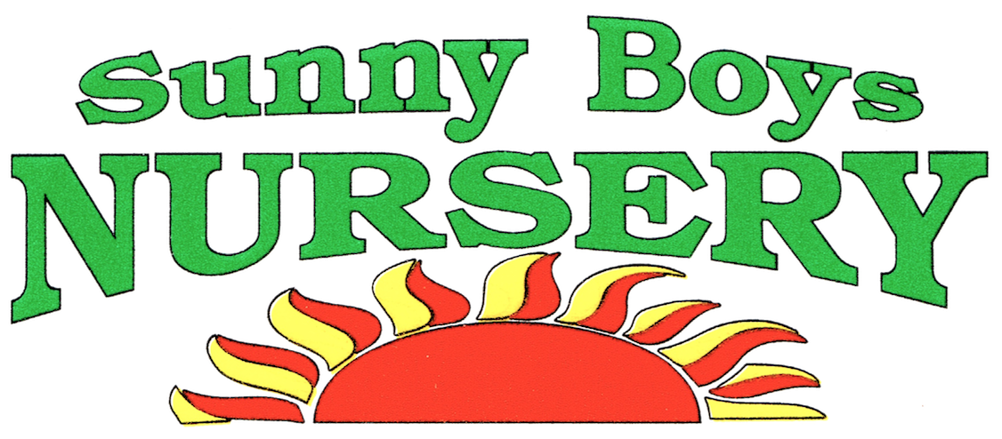 Sunny Boys Nursery