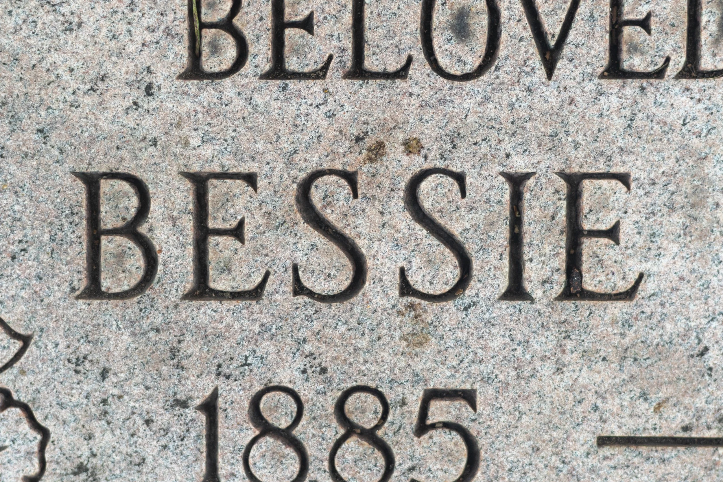 Bessie.jpg