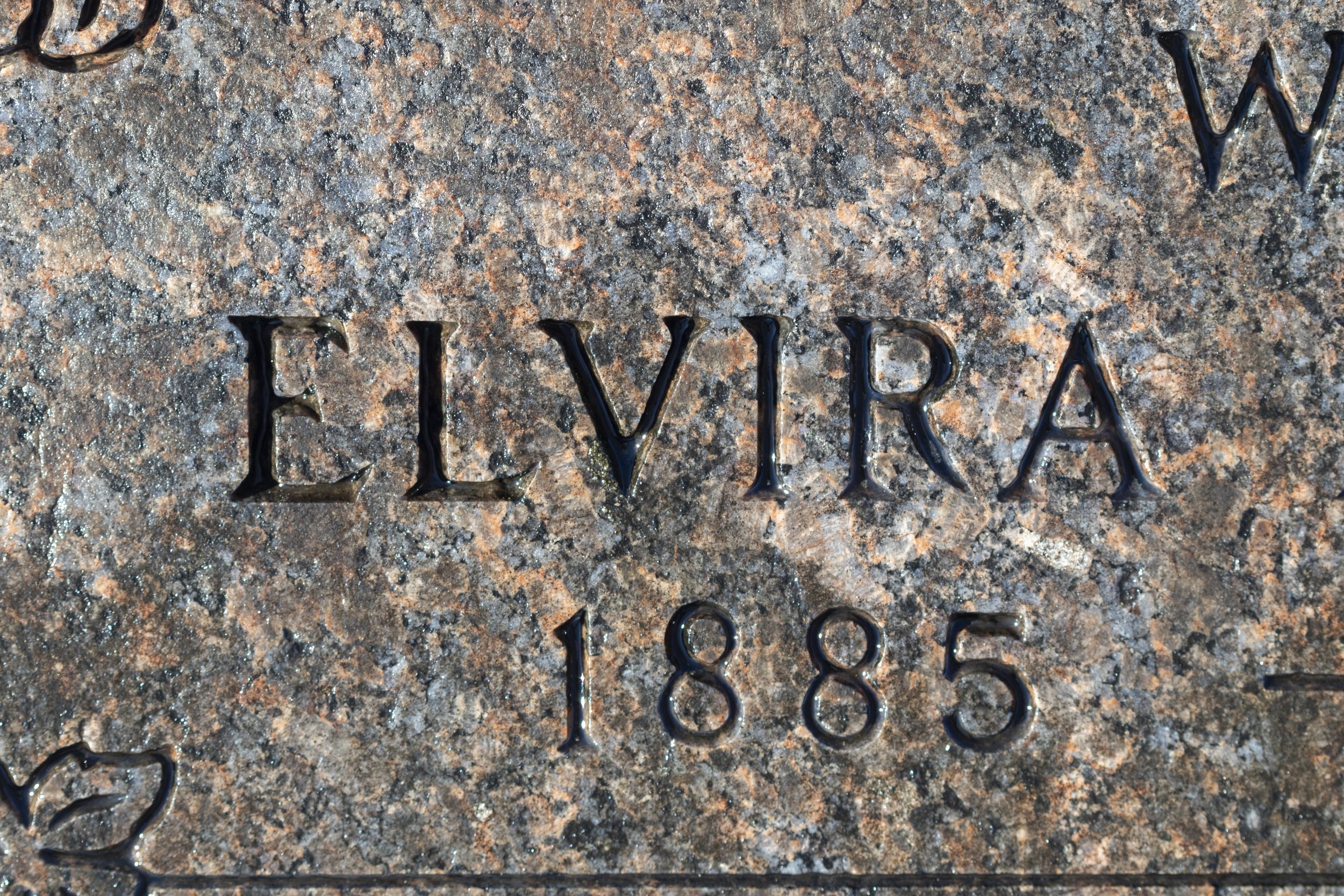 Elvira 1885.jpg