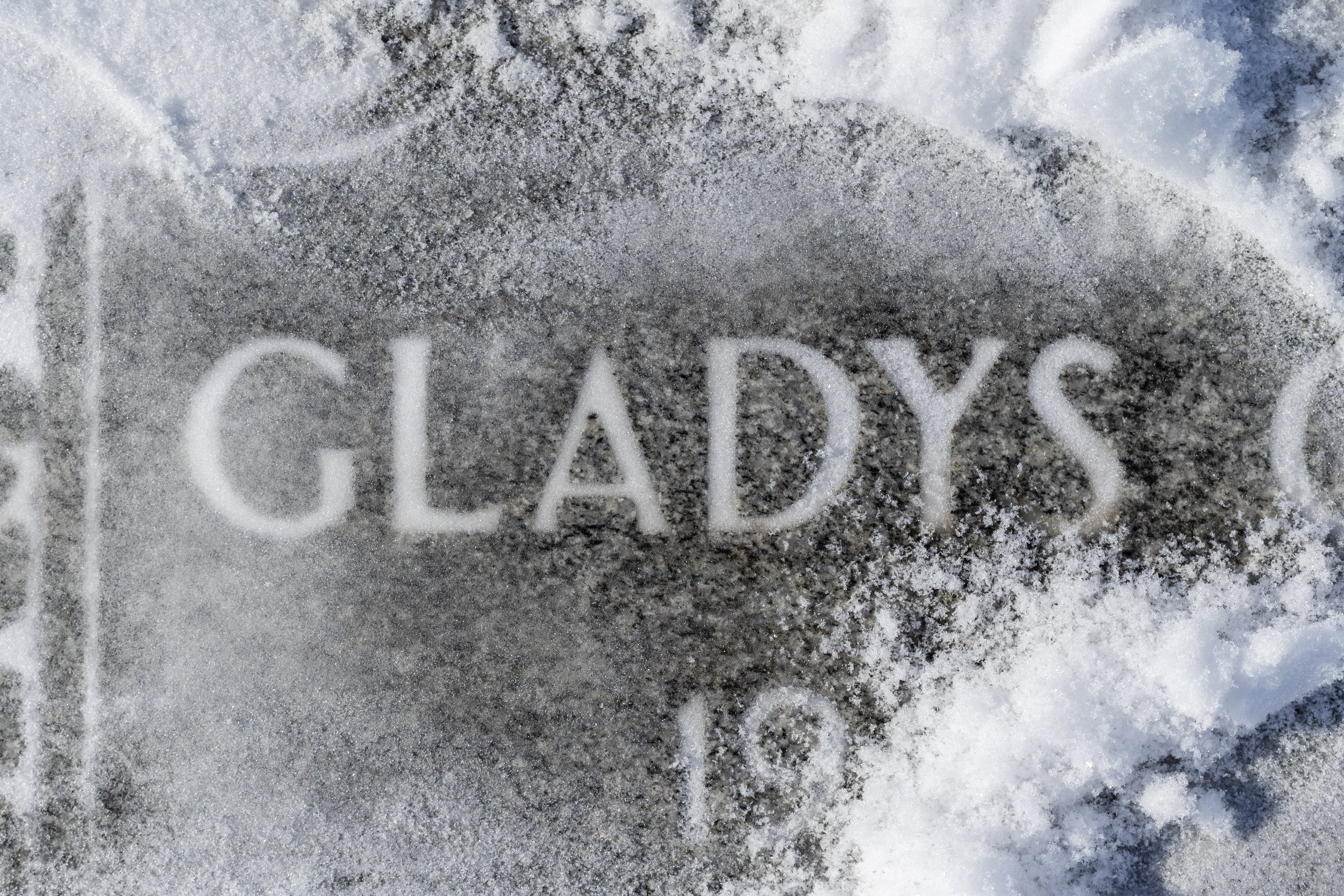 Gladys 19.jpg