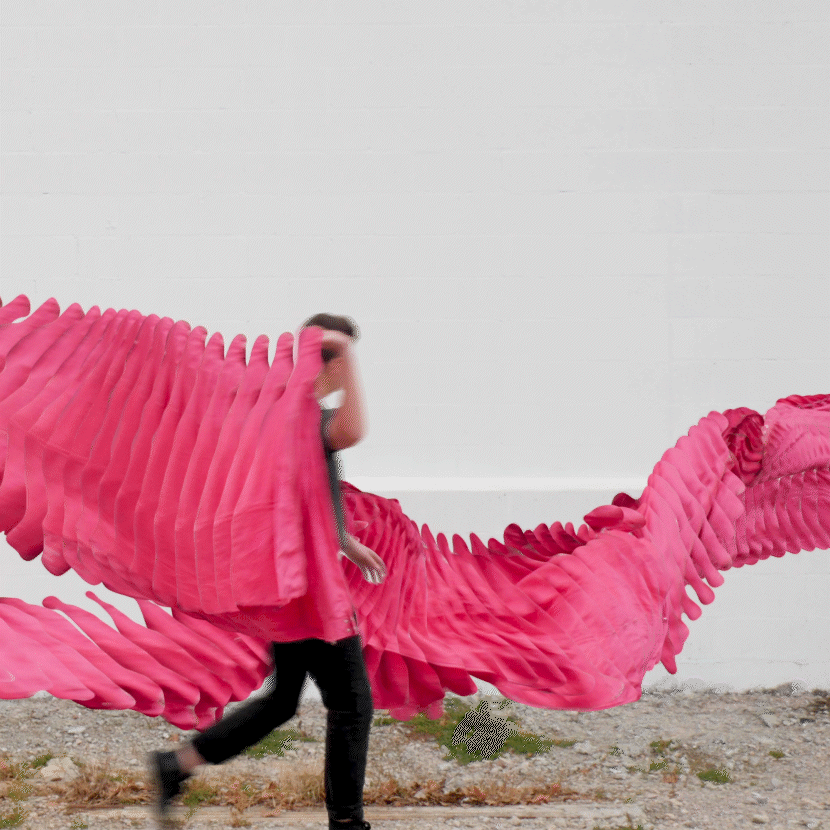 pinkjacket.gif