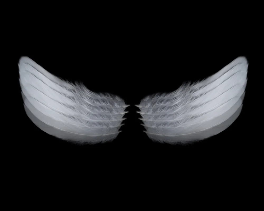 DeQuesada_Maritza_Wings.jpg