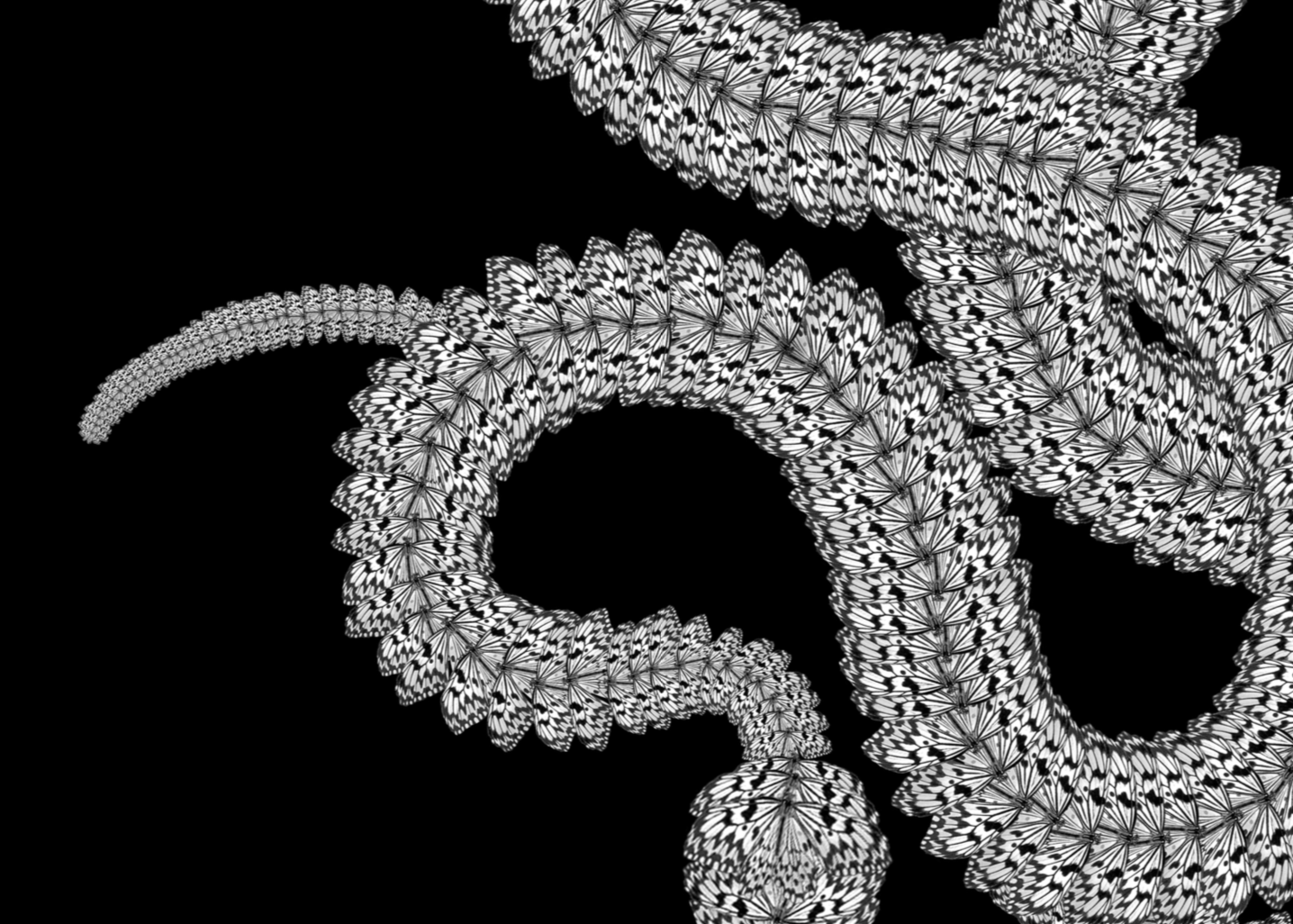 Maritza De Quesada -serpentine- lo res.png