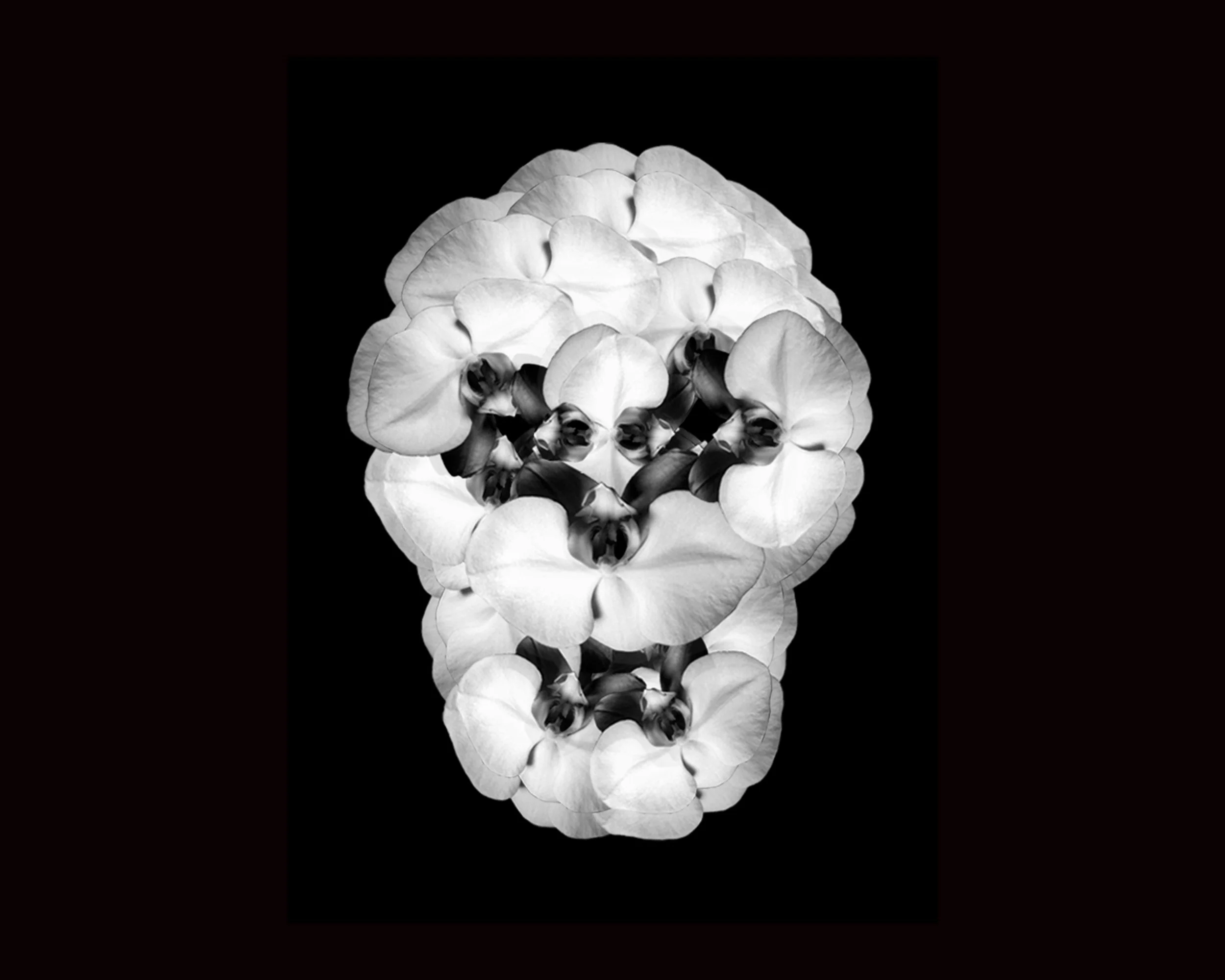 skull_20x16_hires.jpg