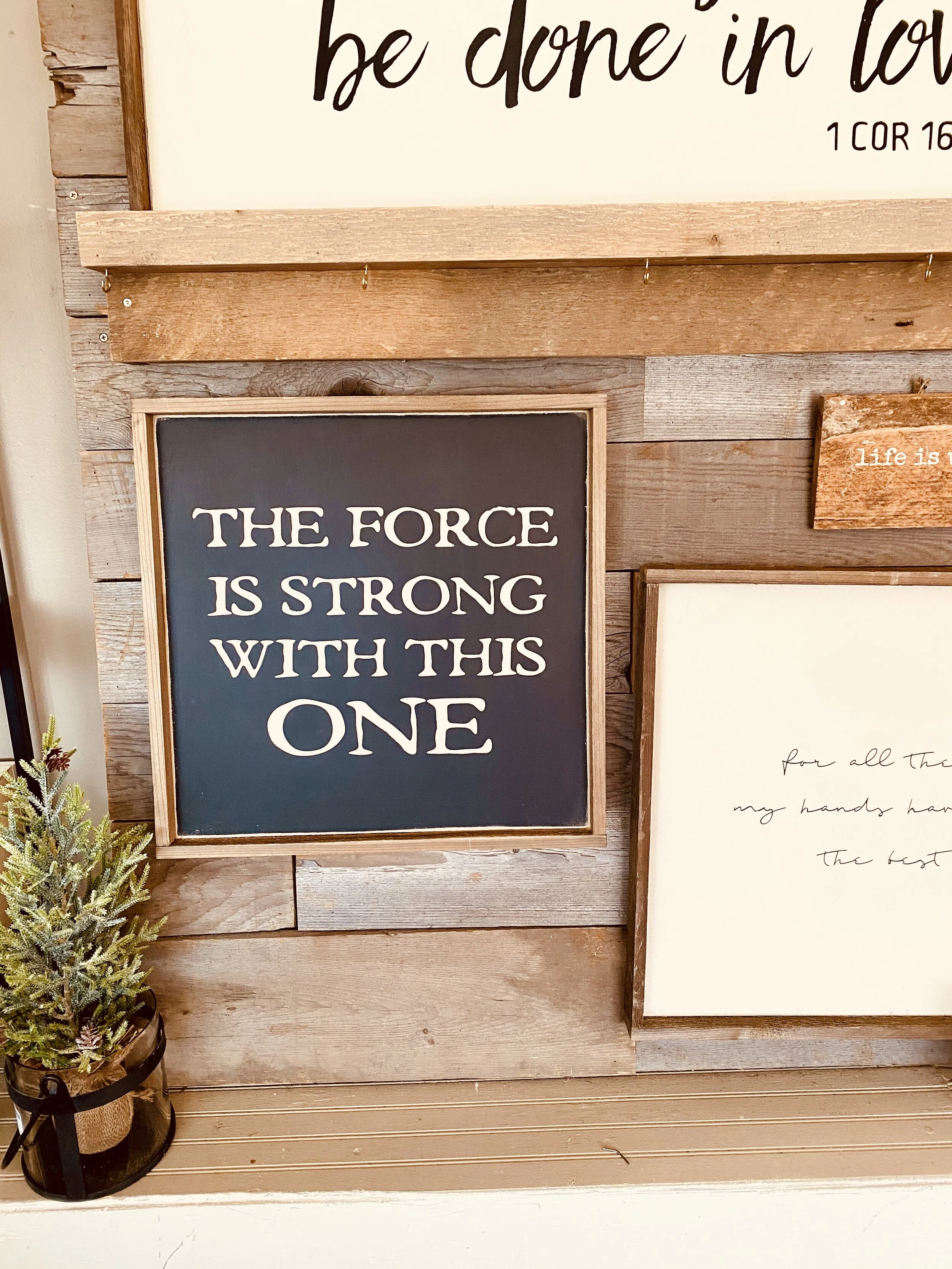 THE FORCE IS STRONG WITH THIS ONE