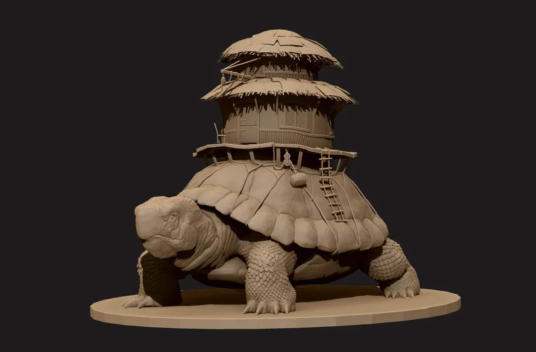 turle1.jpg