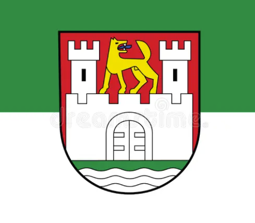 Delegation from Wolfsburg