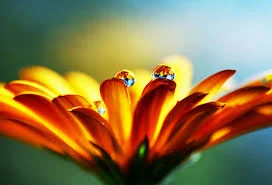 YouAreJoy.com