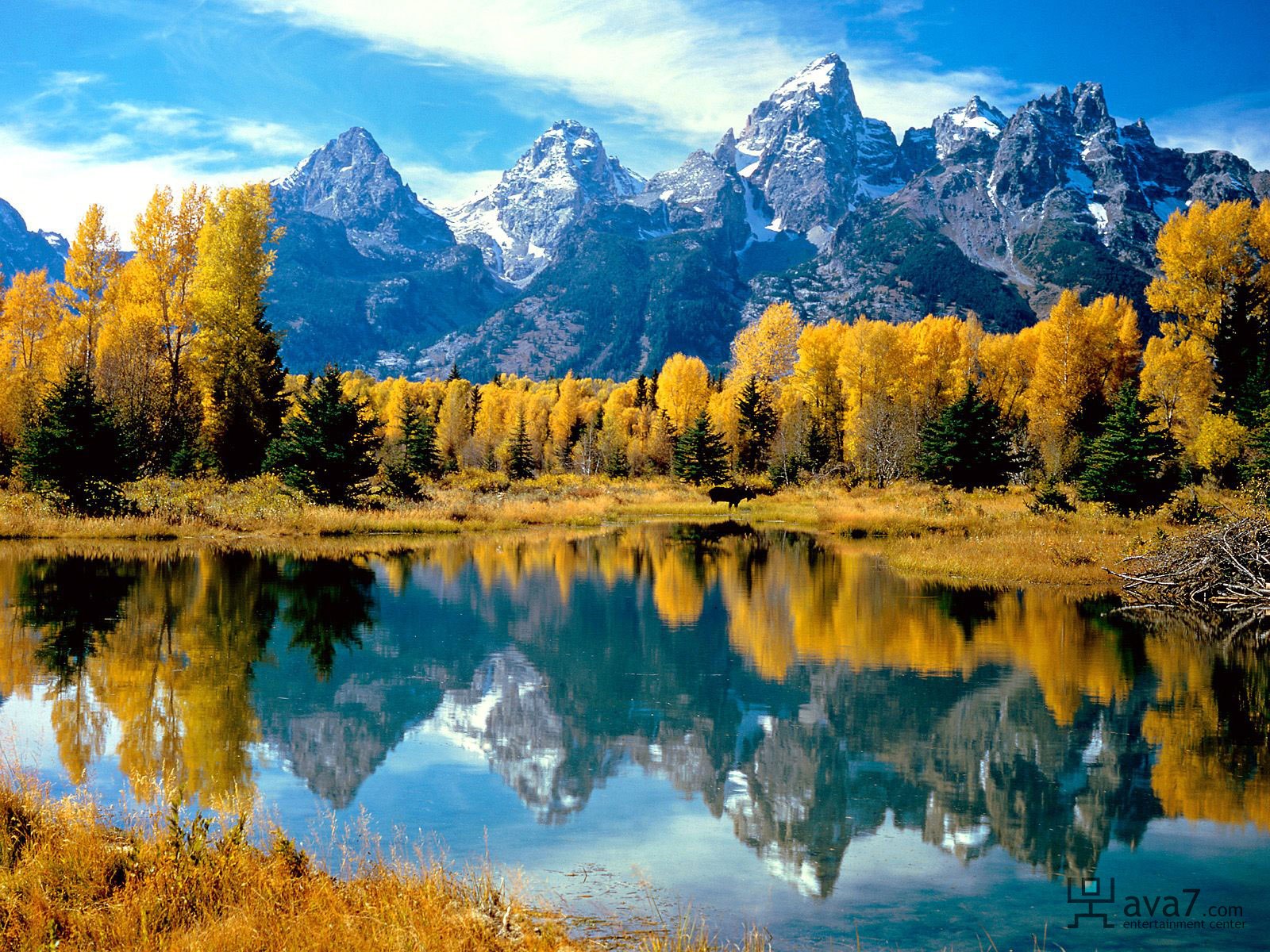 Dreaming the World Alive - by Tom Wells