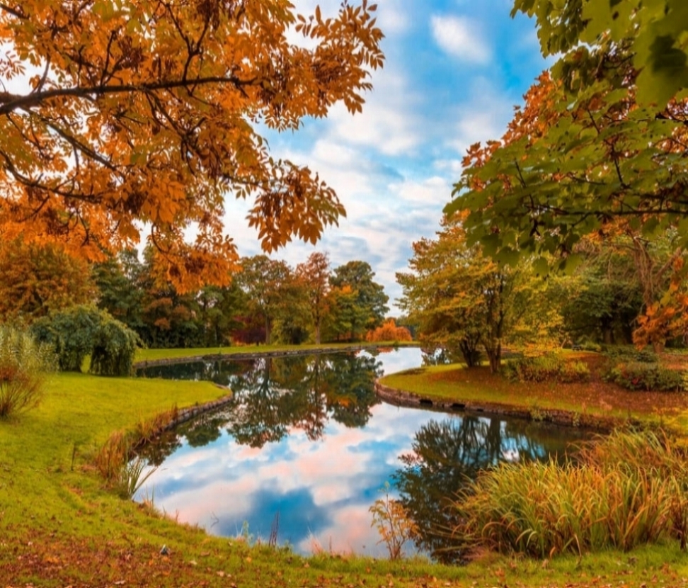 Glassy Pond in Autumn.jpg