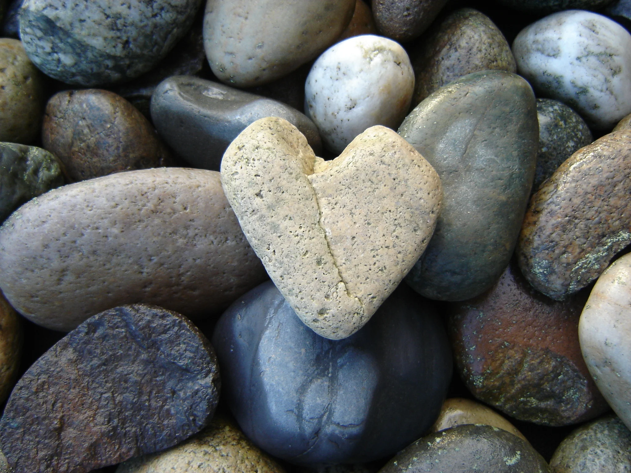 Living From Your Heart