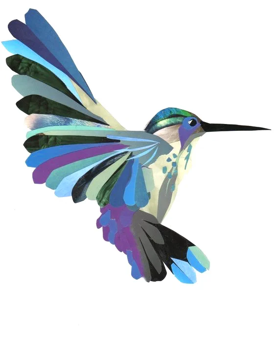 Toms Hummingbird Logo.jpg