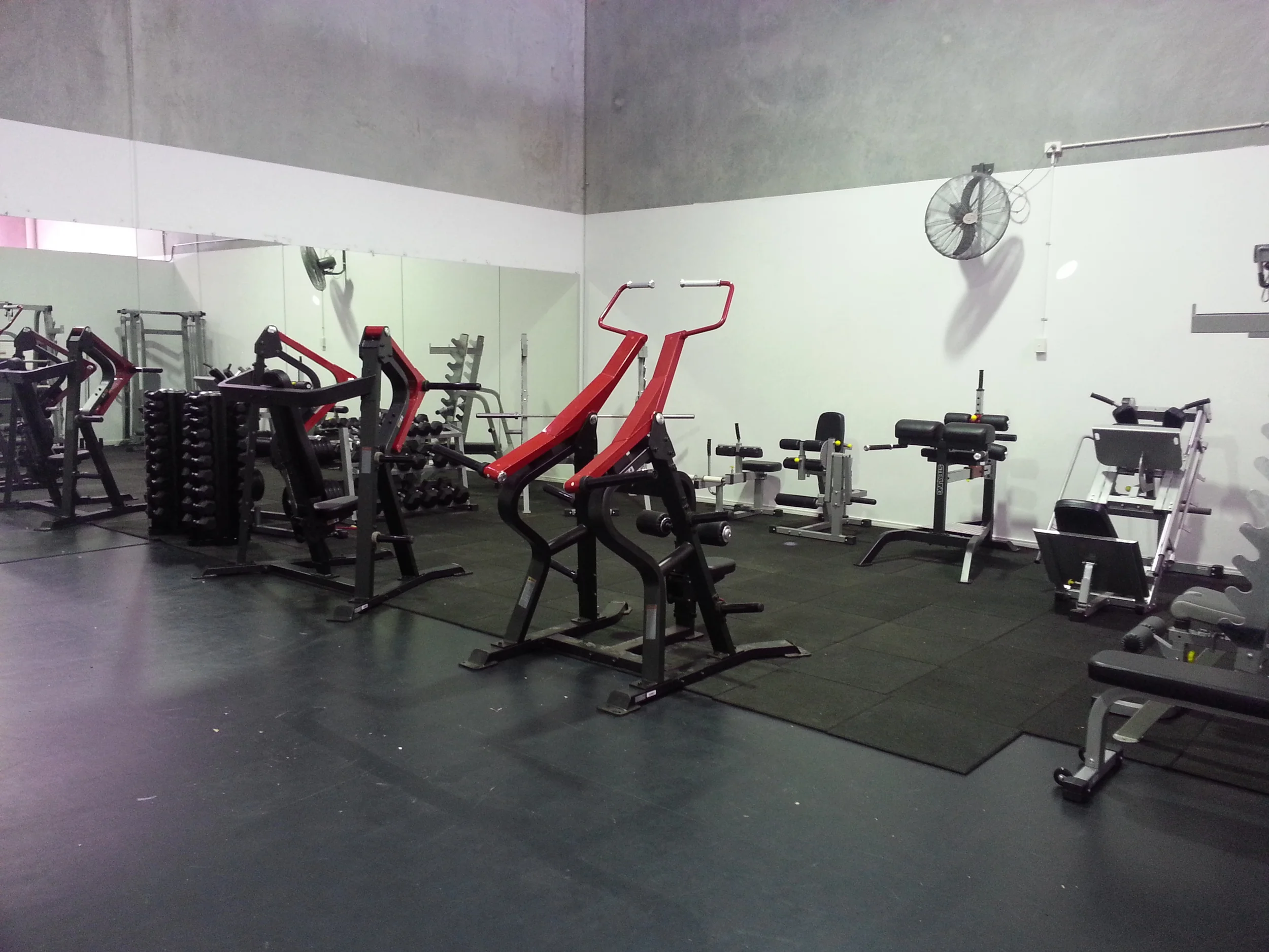 Complete Gym Setup