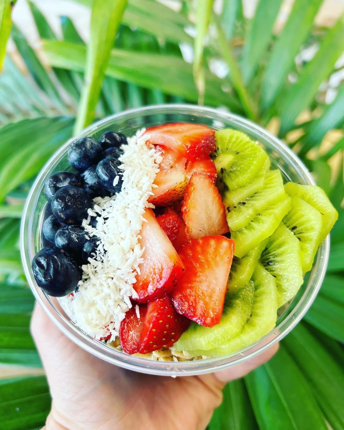 Don Miguel Juicery + Rustic Kitchen