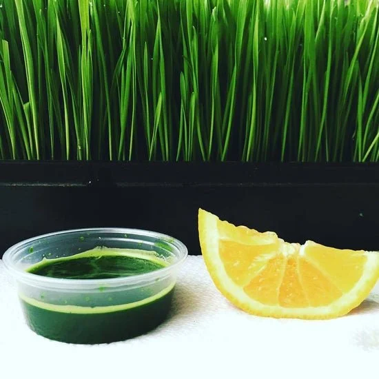 best wheatgrass near me
