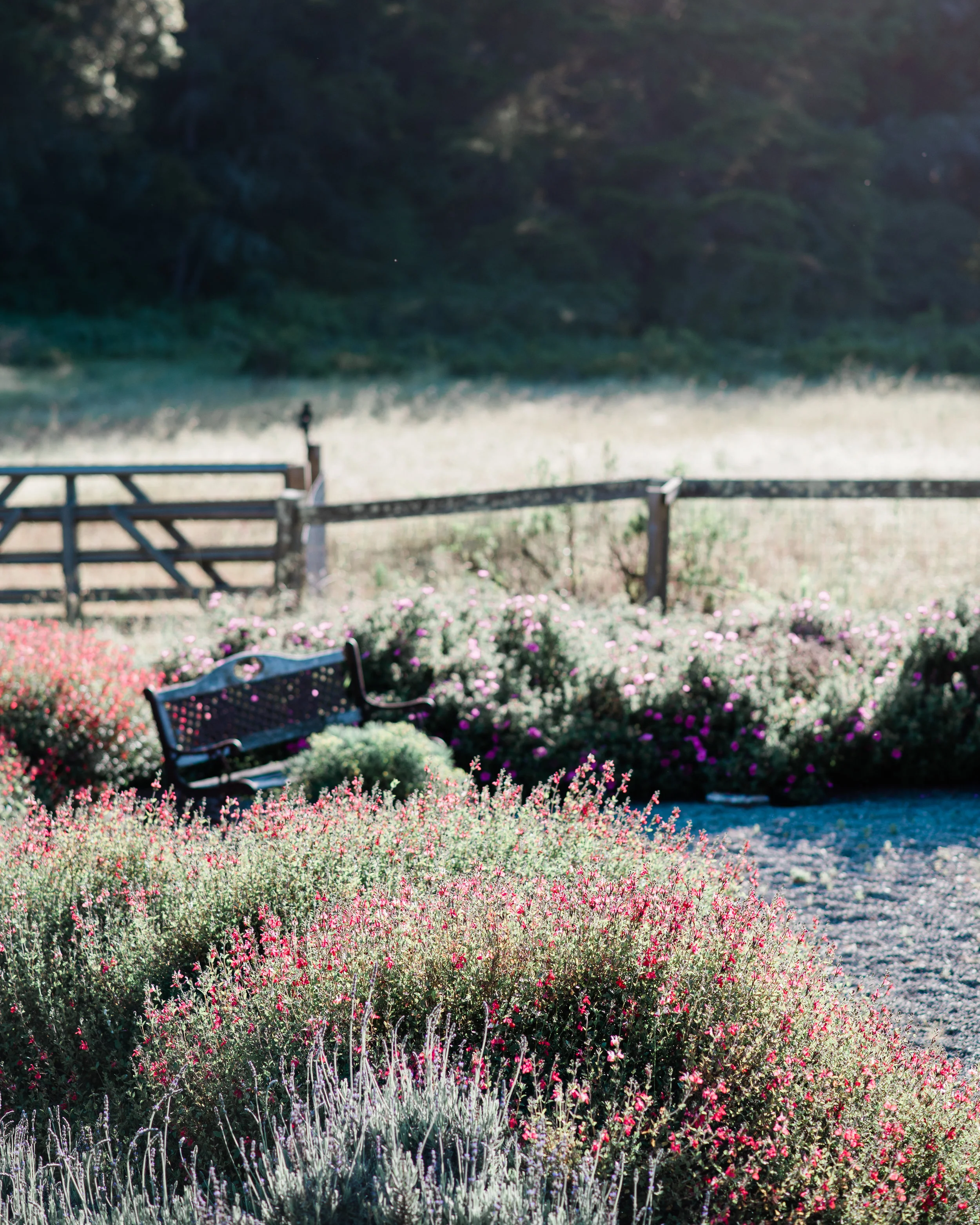 GRK_MelsGarden-02.jpg