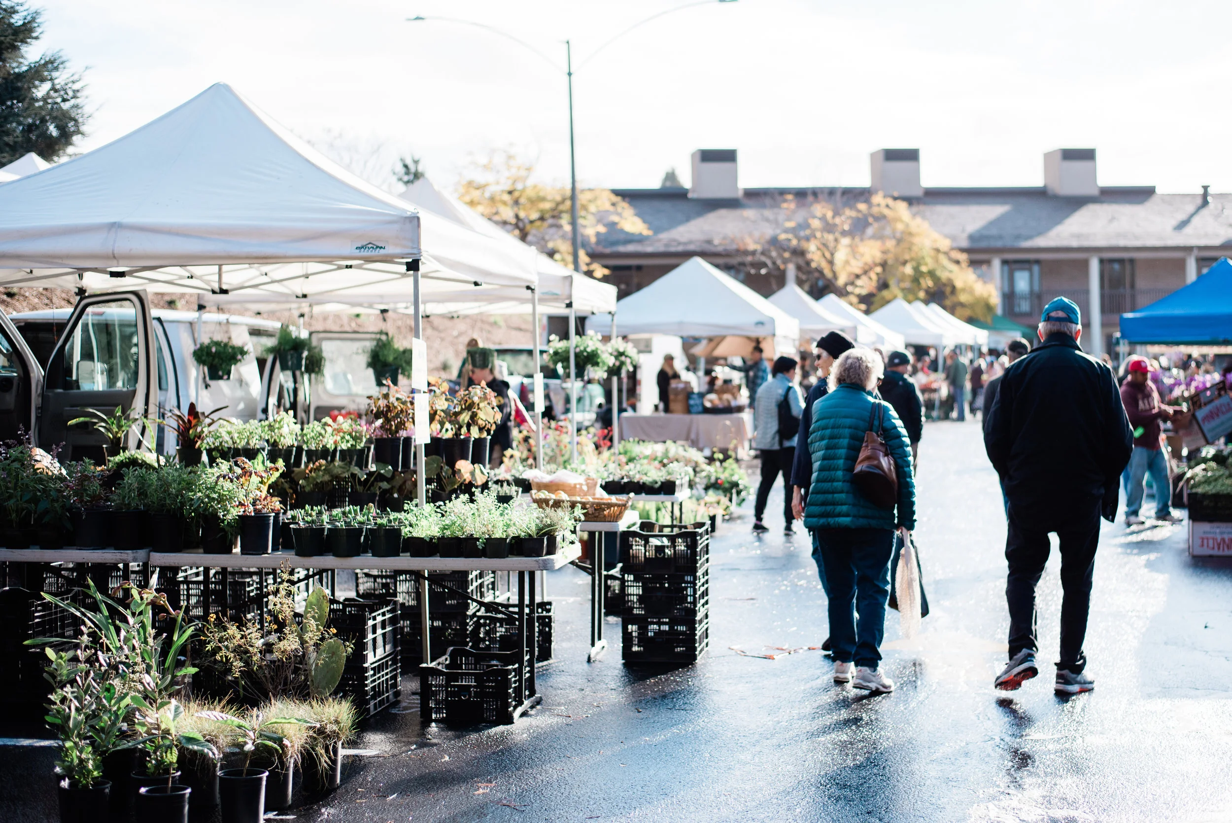 farmersmarket-01.jpg