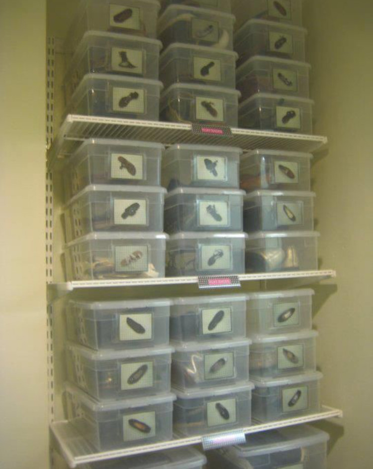 boxes-shoes-closet-wardrobe-storage-how-to-stack-floor-longterm-plastic-the-container-store.jpg