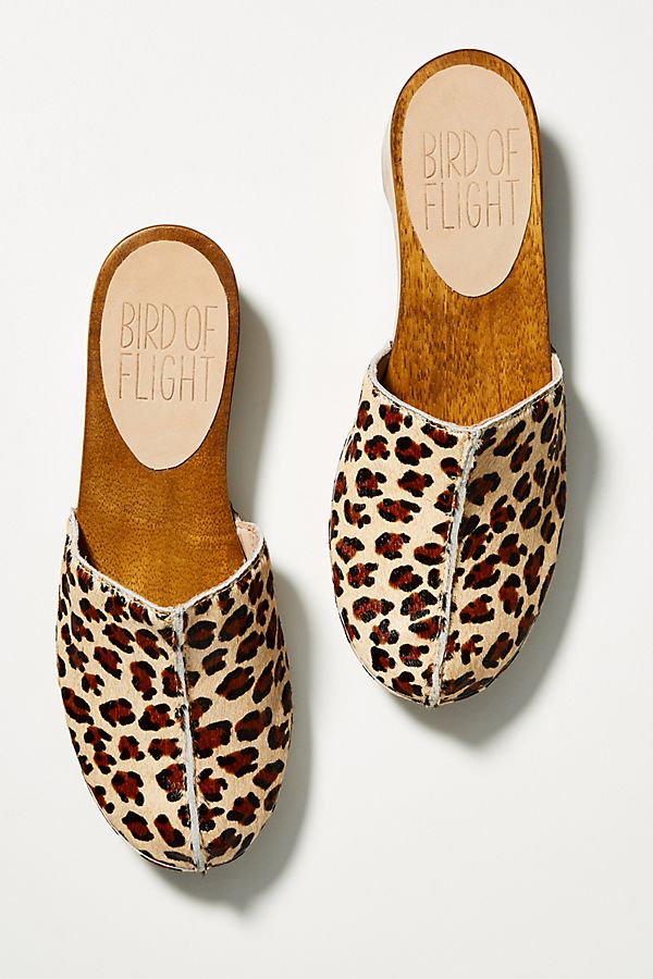 Bird of Flight Leopard Clogs