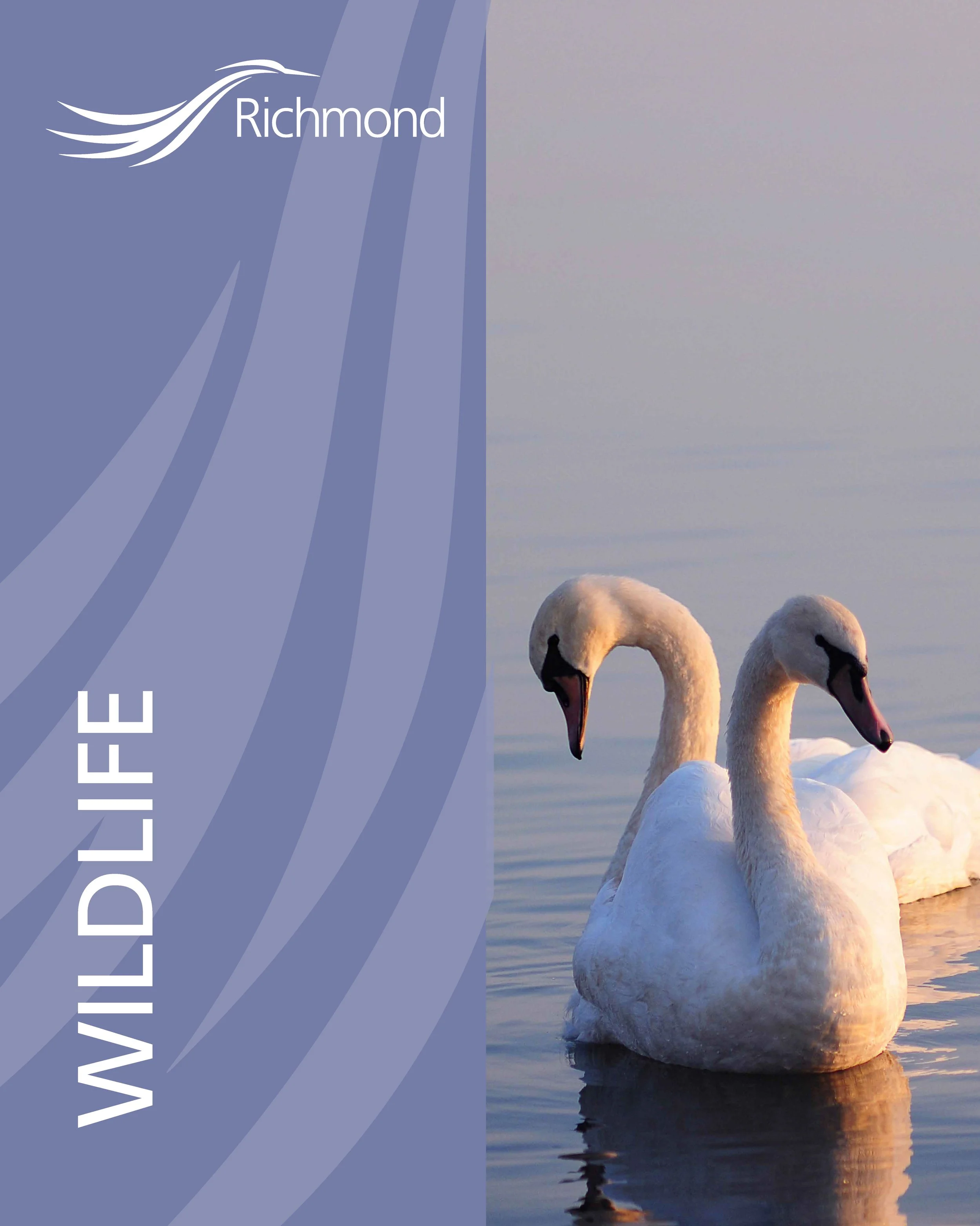 2023 PRELIMINARY Pairing - 7.jpg