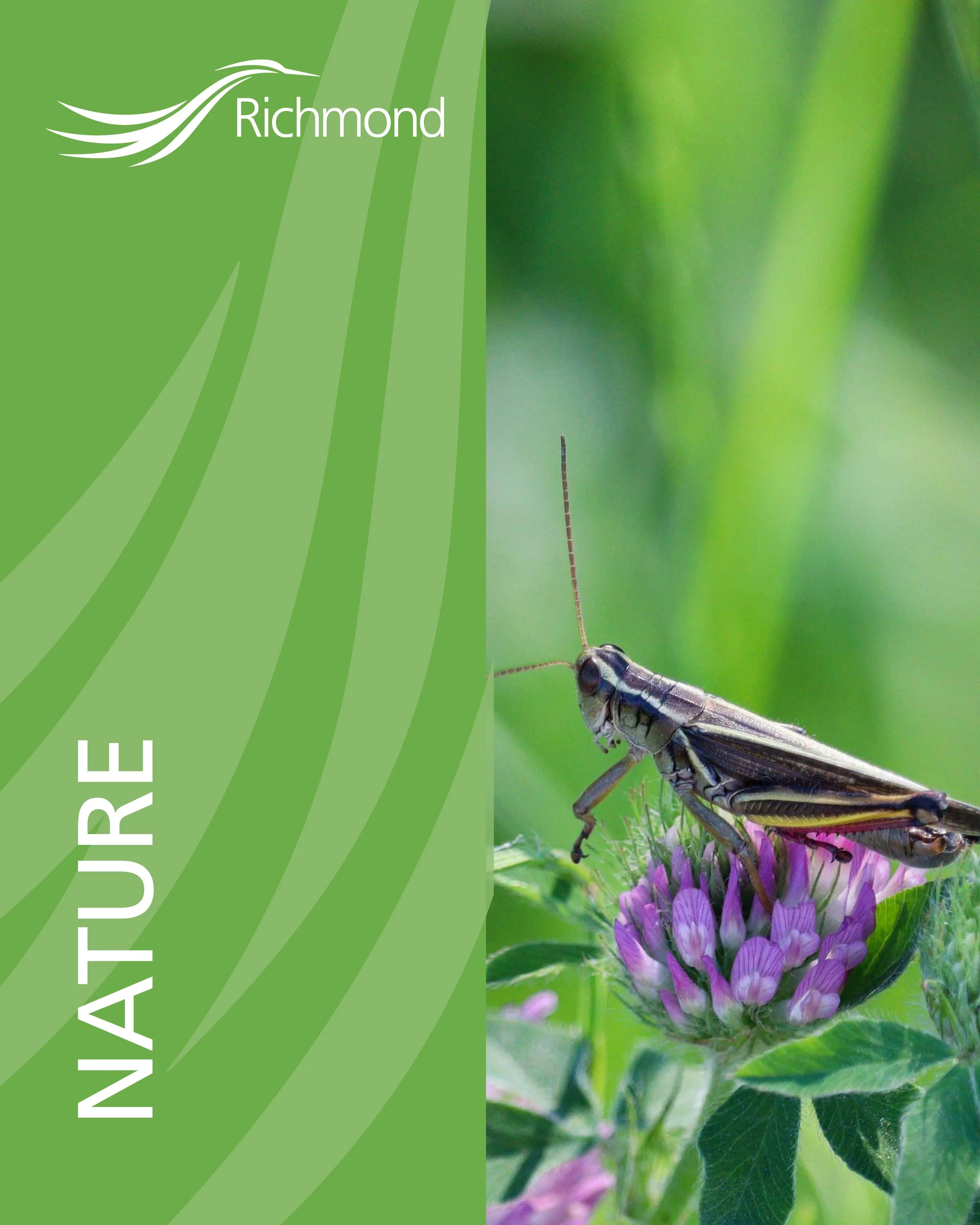 2023 PRELIMINARY Pairing - 13.jpg