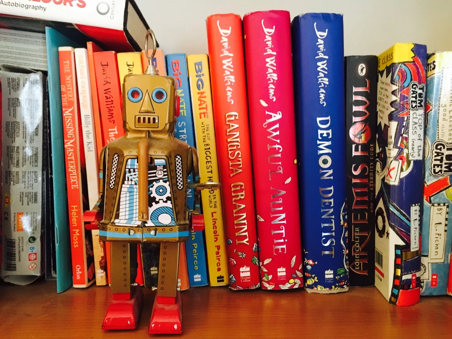 Your Books bookshelf 1 (2) (Large).jpg