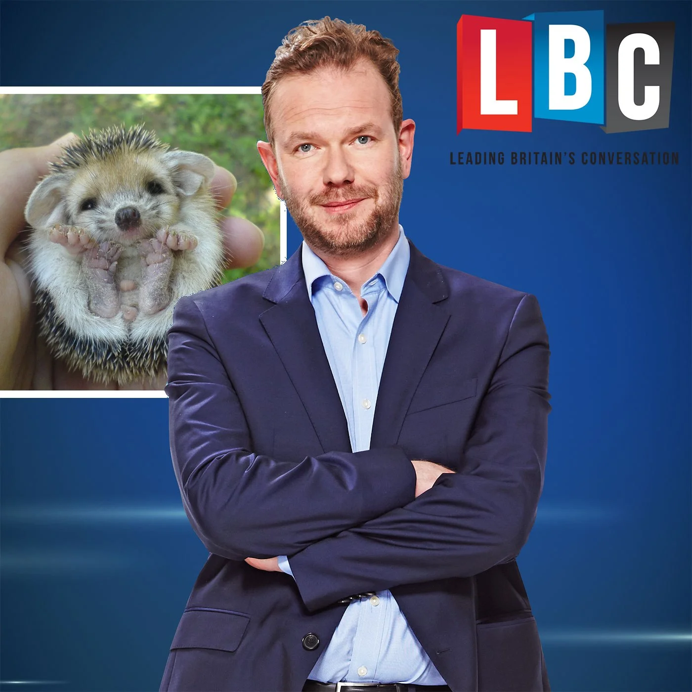 james o brien hedgehog.jpg