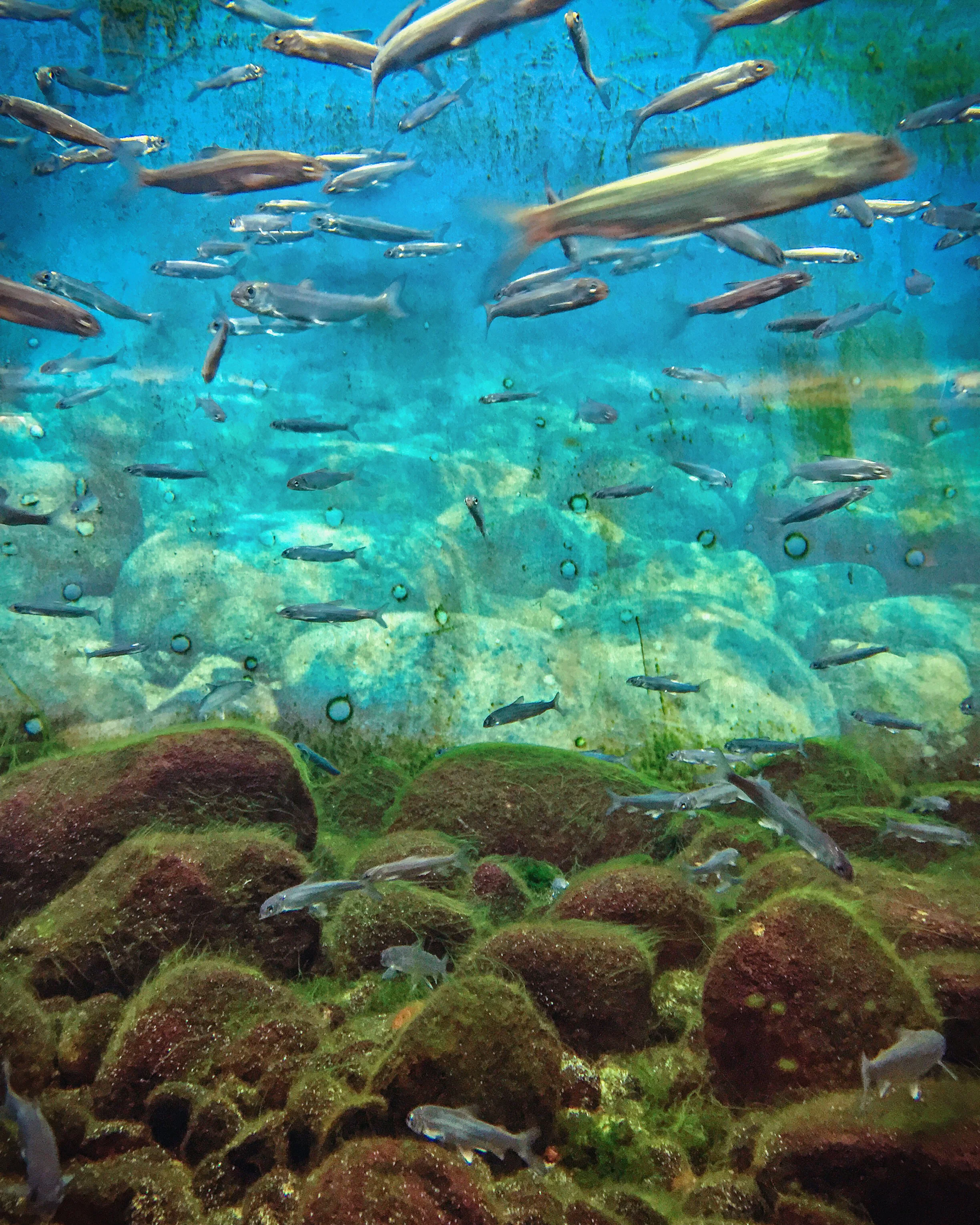 aquarium.jpg