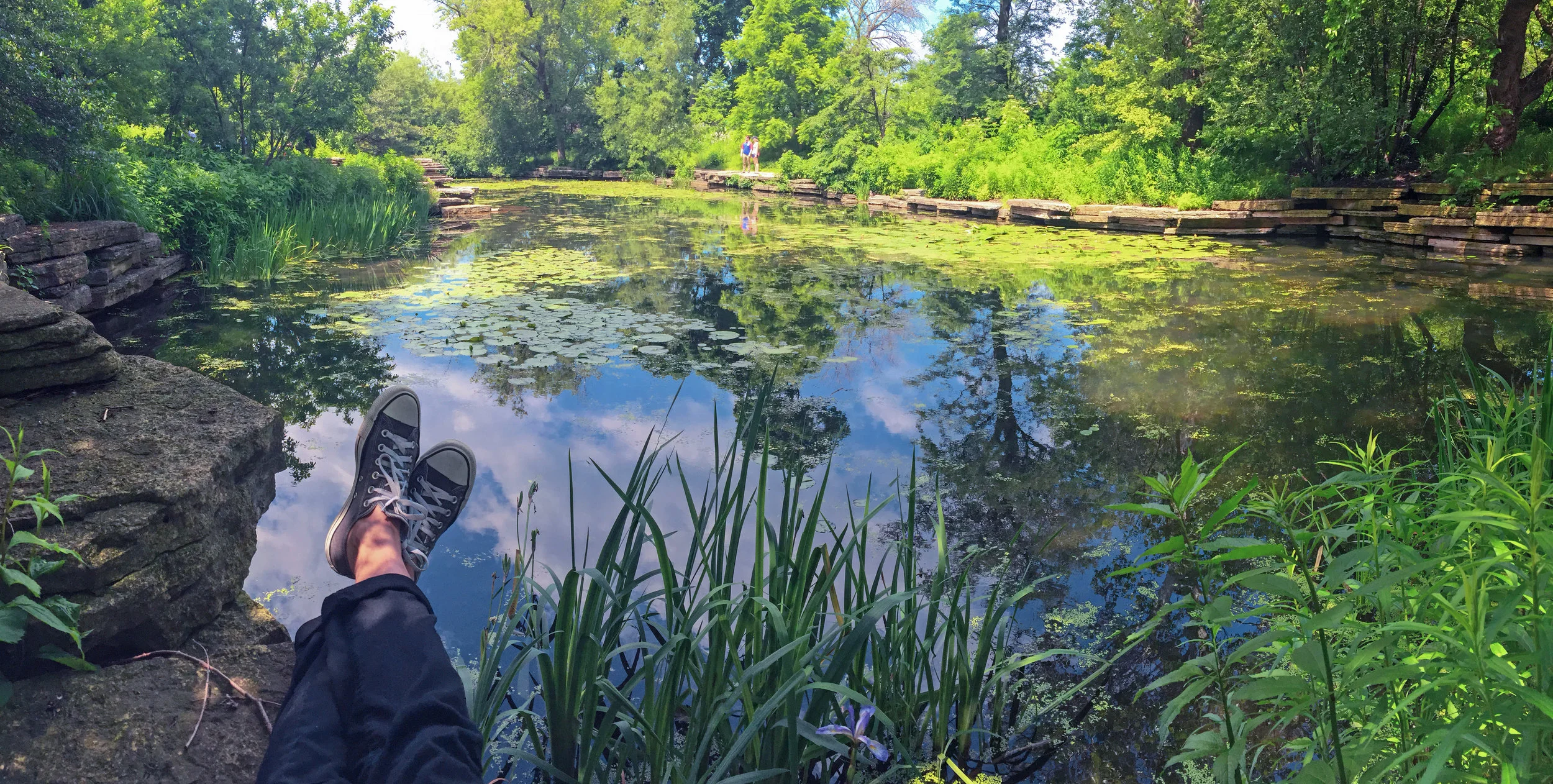 lily_pool_2.jpg
