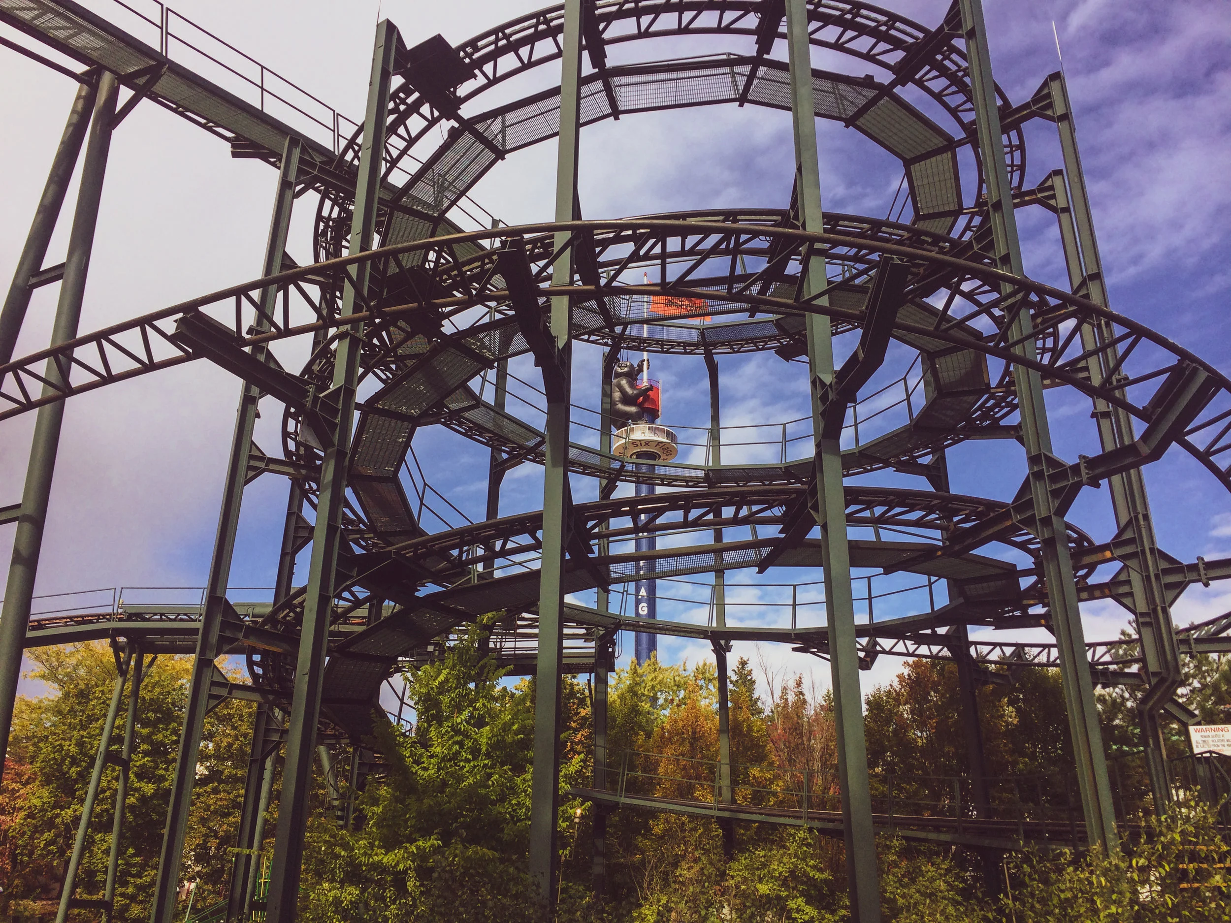 rollercoaster.jpg