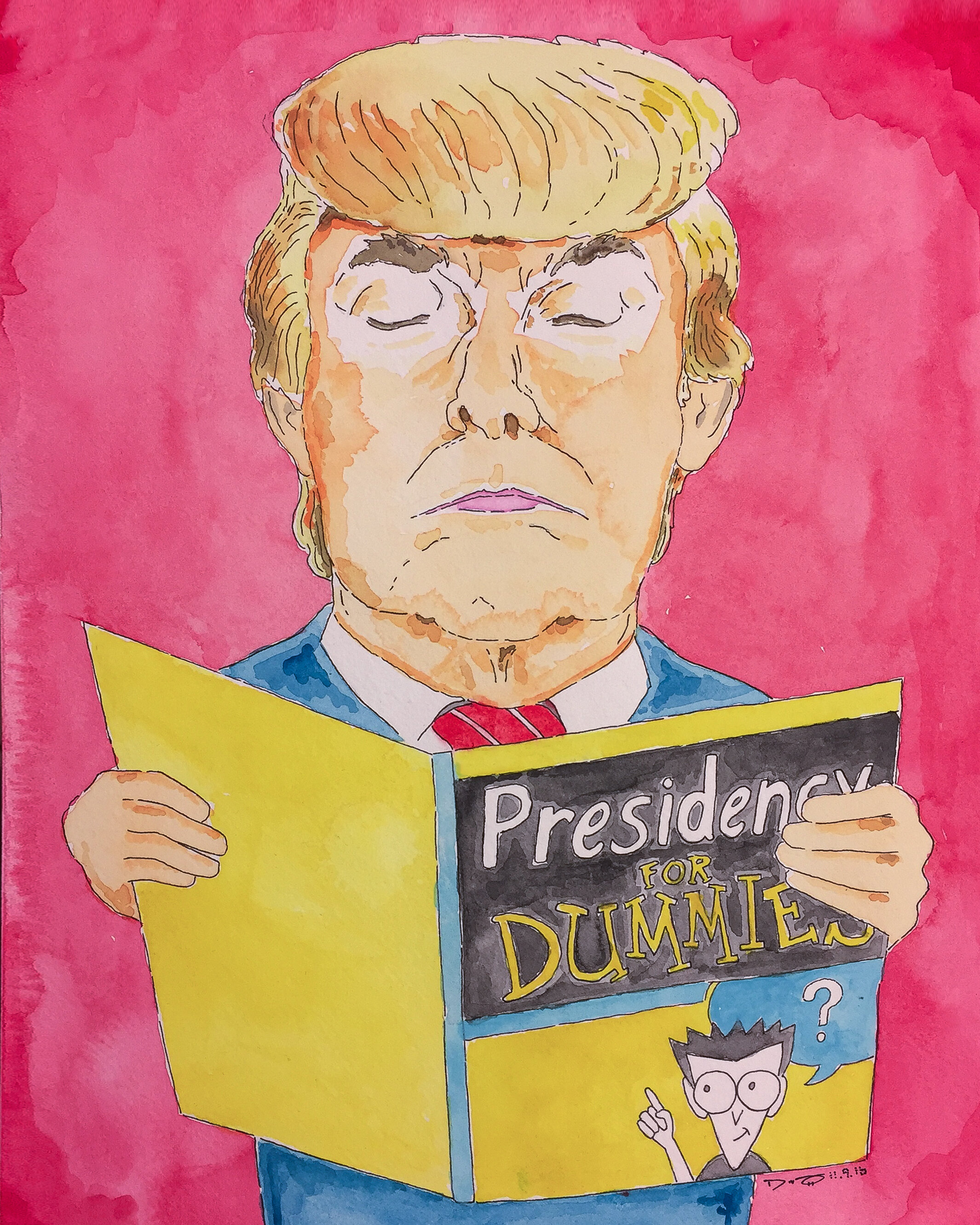 Presidency for Dummies