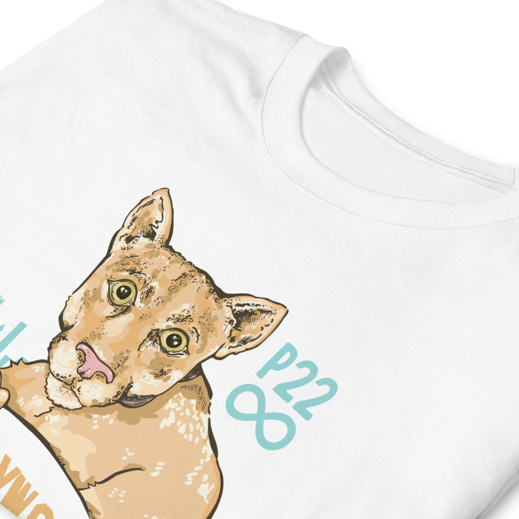 unisex-basic-softstyle-t-shirt-white-zoomed-in-63a0f5101e4fc.jpg
