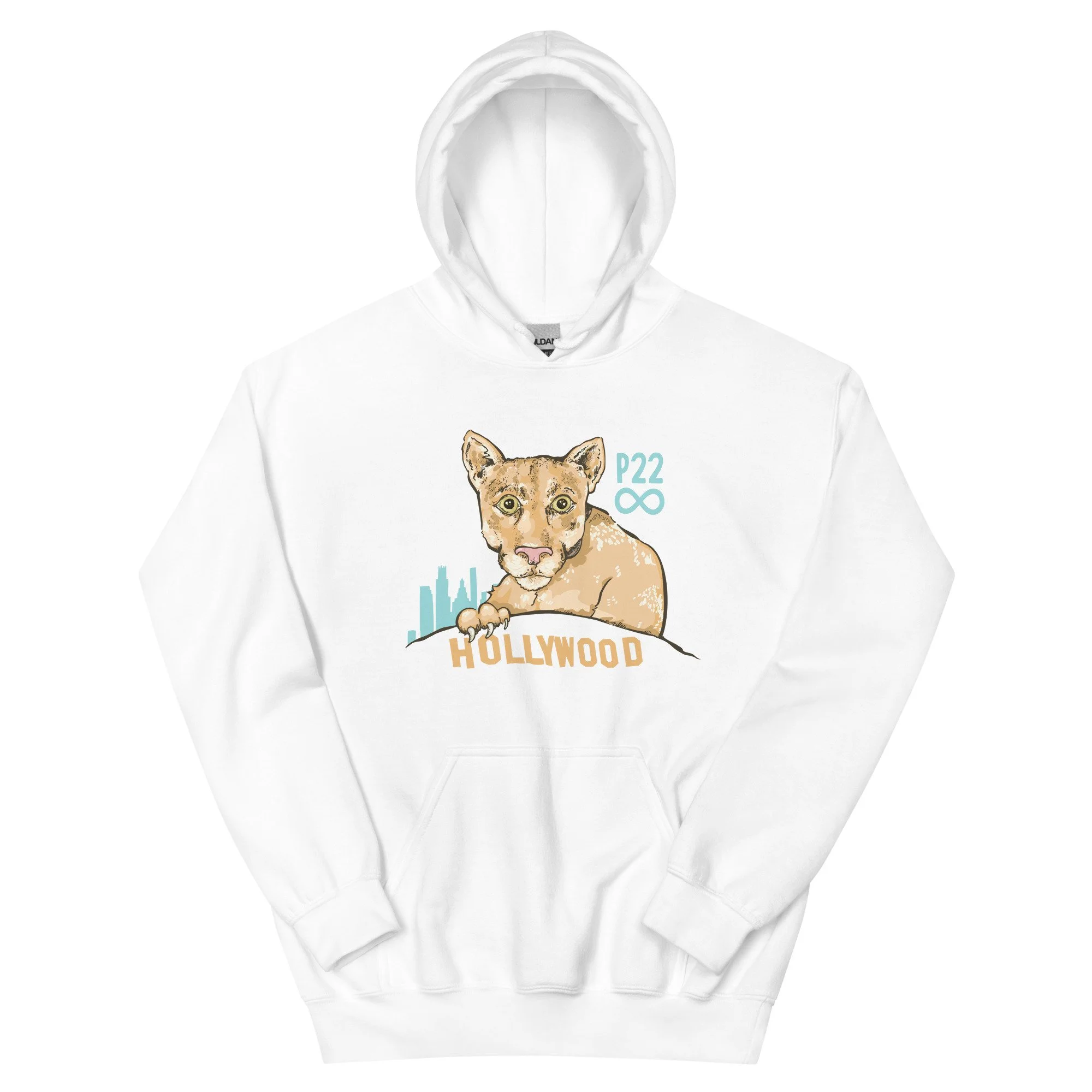 unisex-heavy-blend-hoodie-white-front-63a25b86a3a3b.jpg